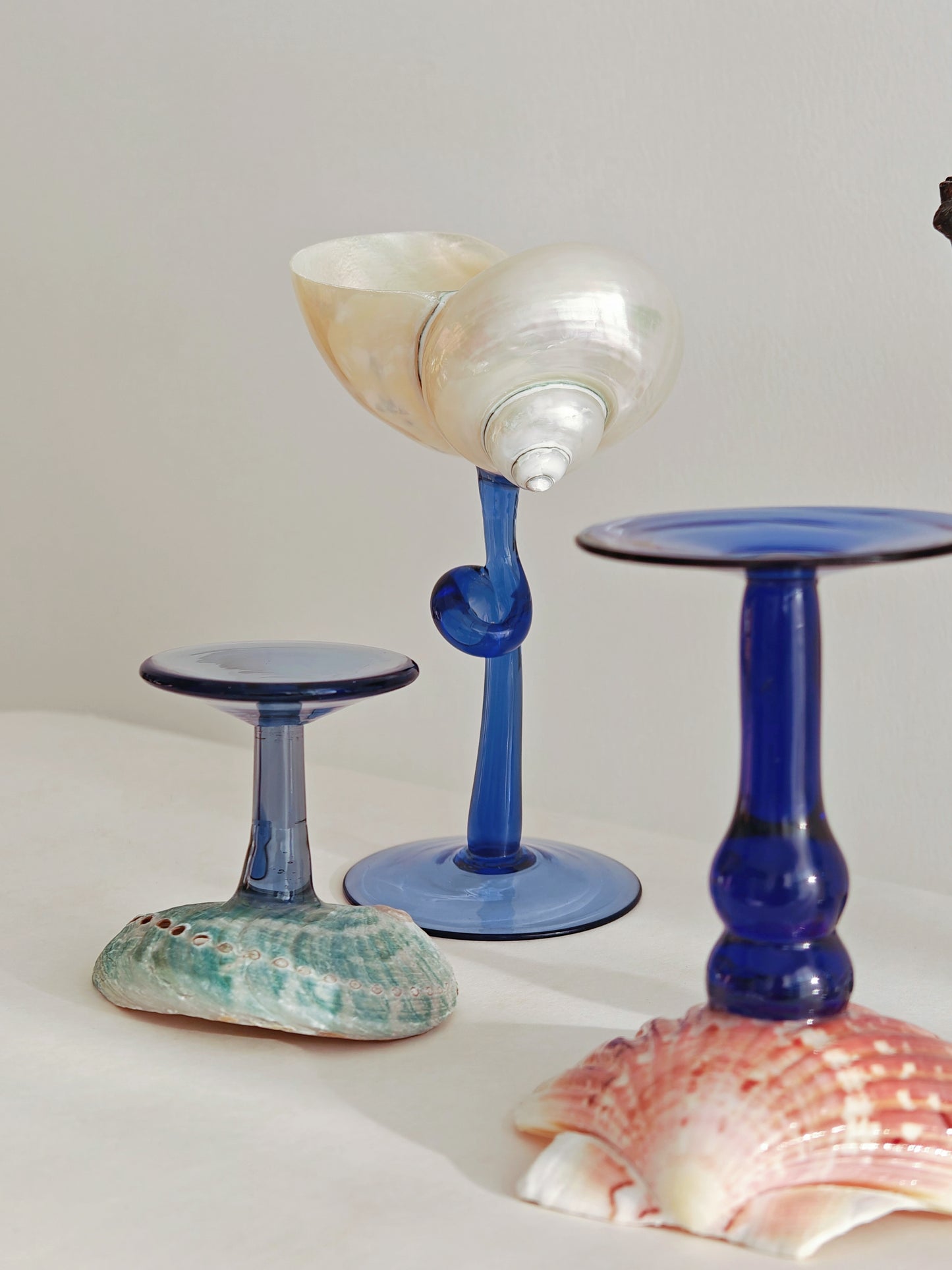 5 shellglass【A whole set】