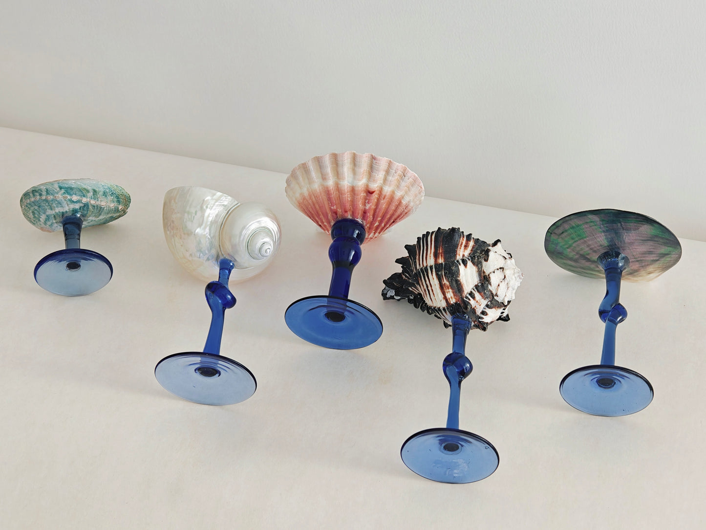 5 shellglass【A whole set】