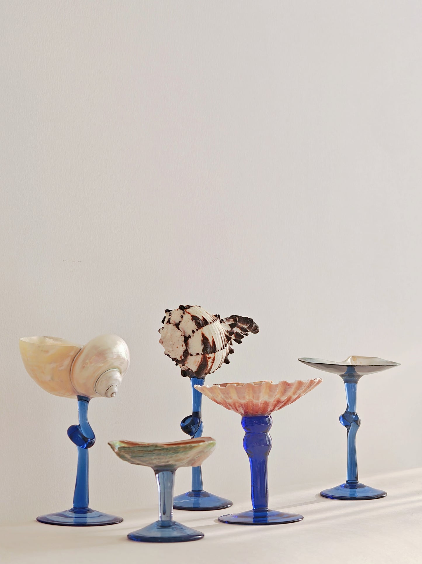 5 shellglass【A whole set】