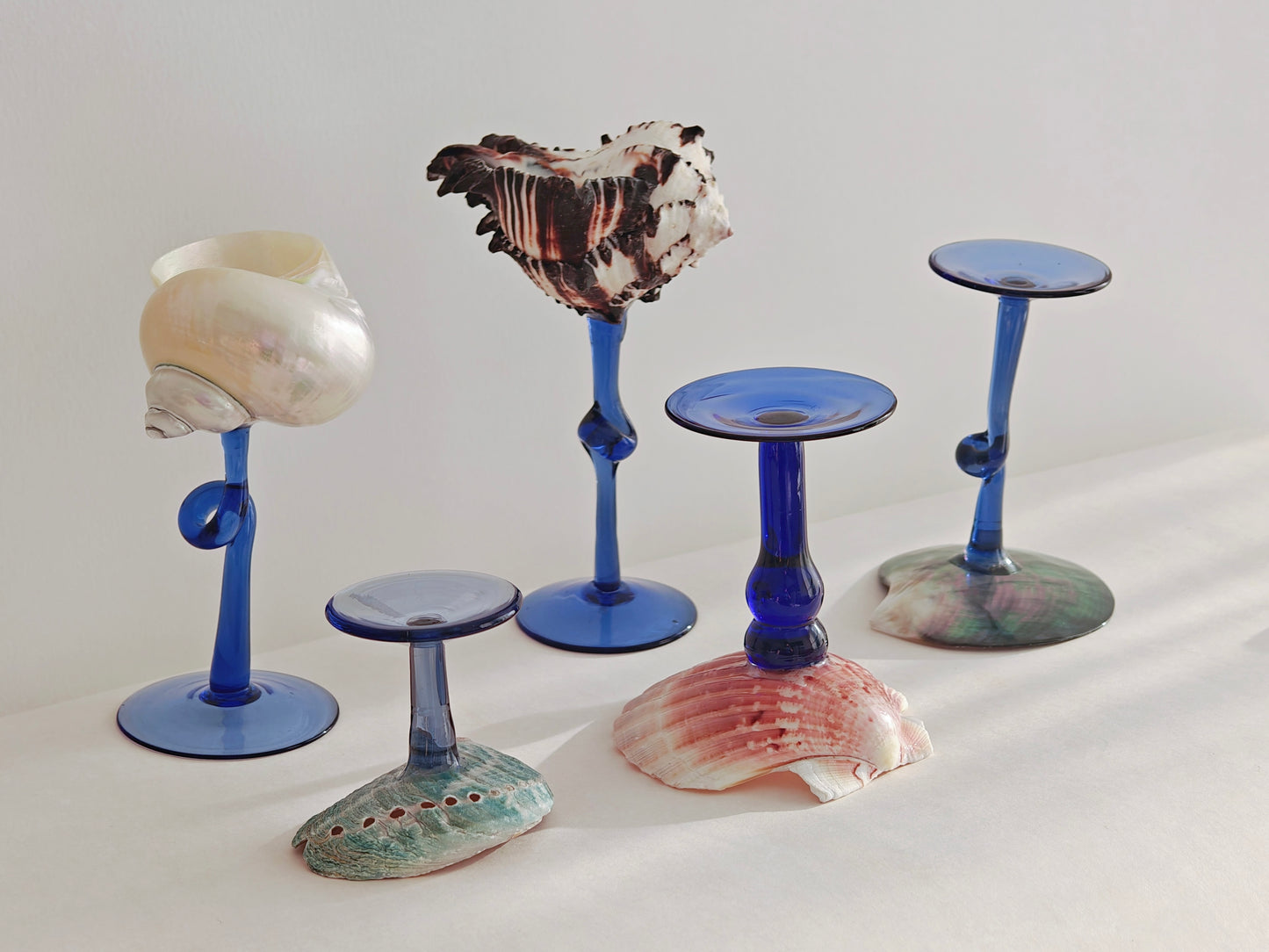 5 shellglass【A whole set】