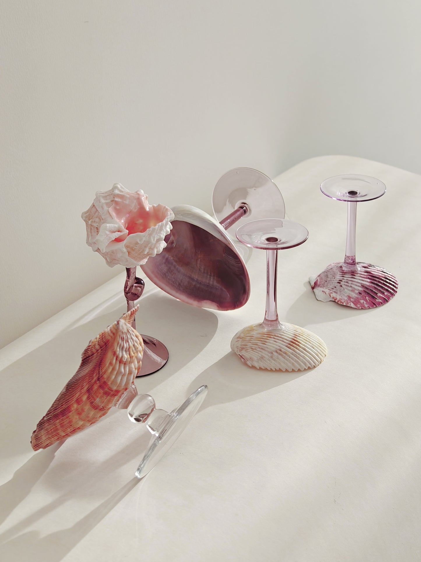 5 shellglass【A whole set】