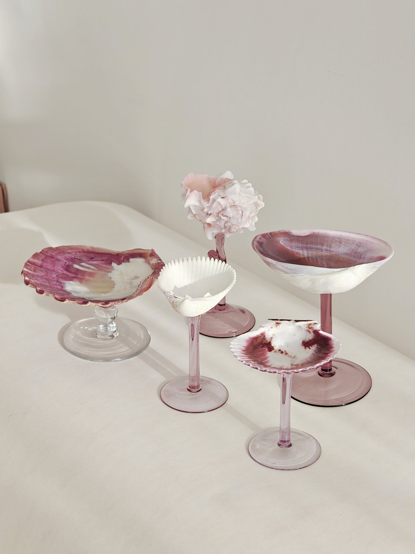 5 shellglass【A whole set】