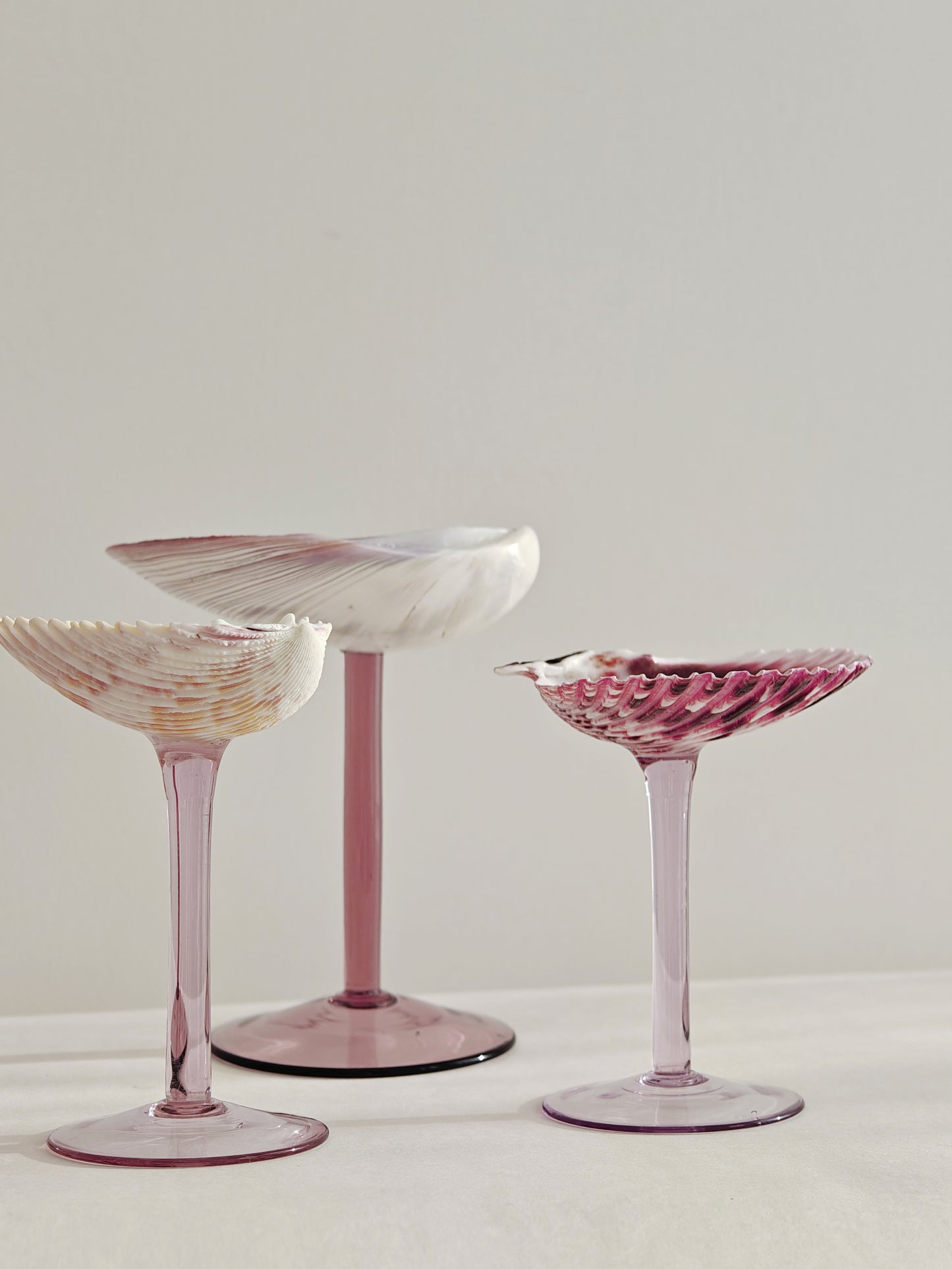 5 shellglass【A whole set】