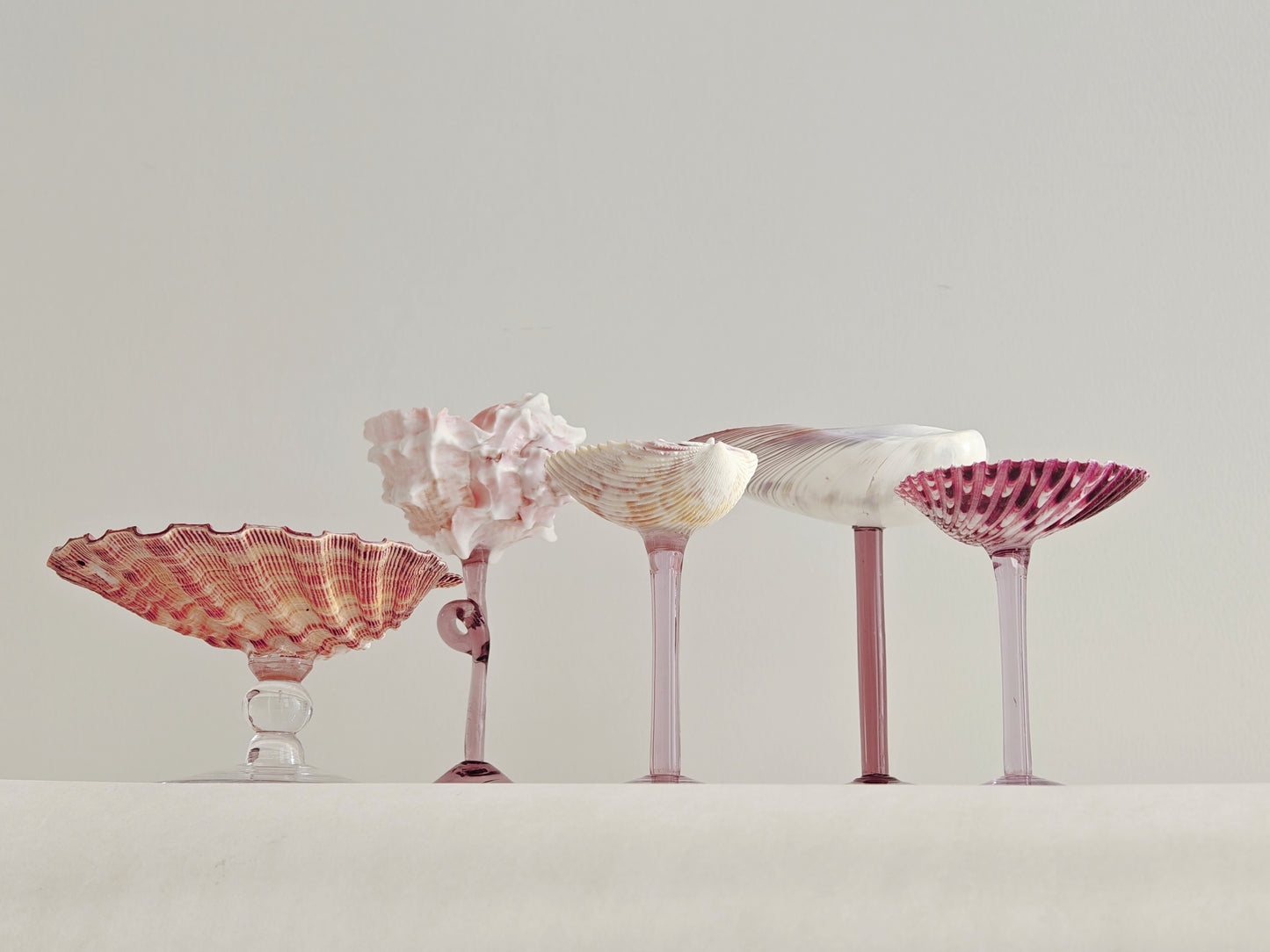 5 shellglass【A whole set】