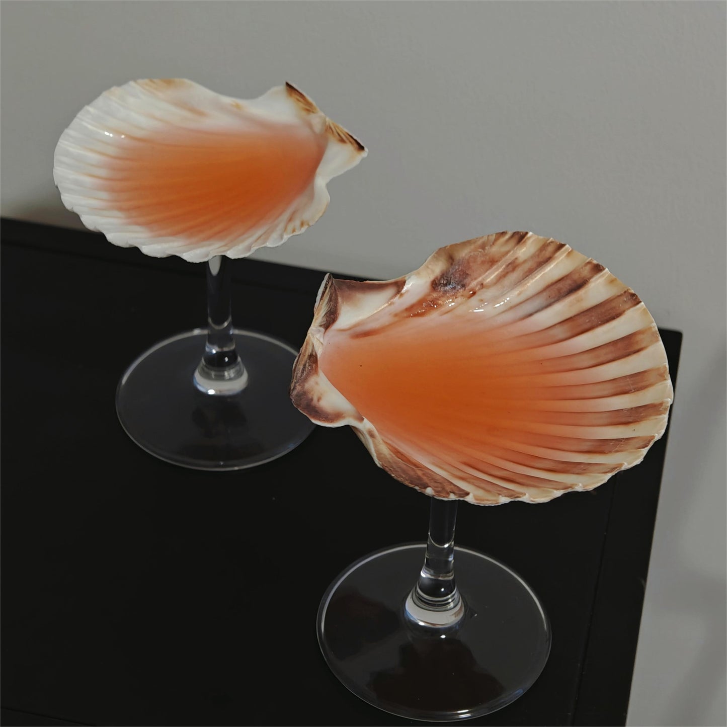 2 shellglass【A whole set】