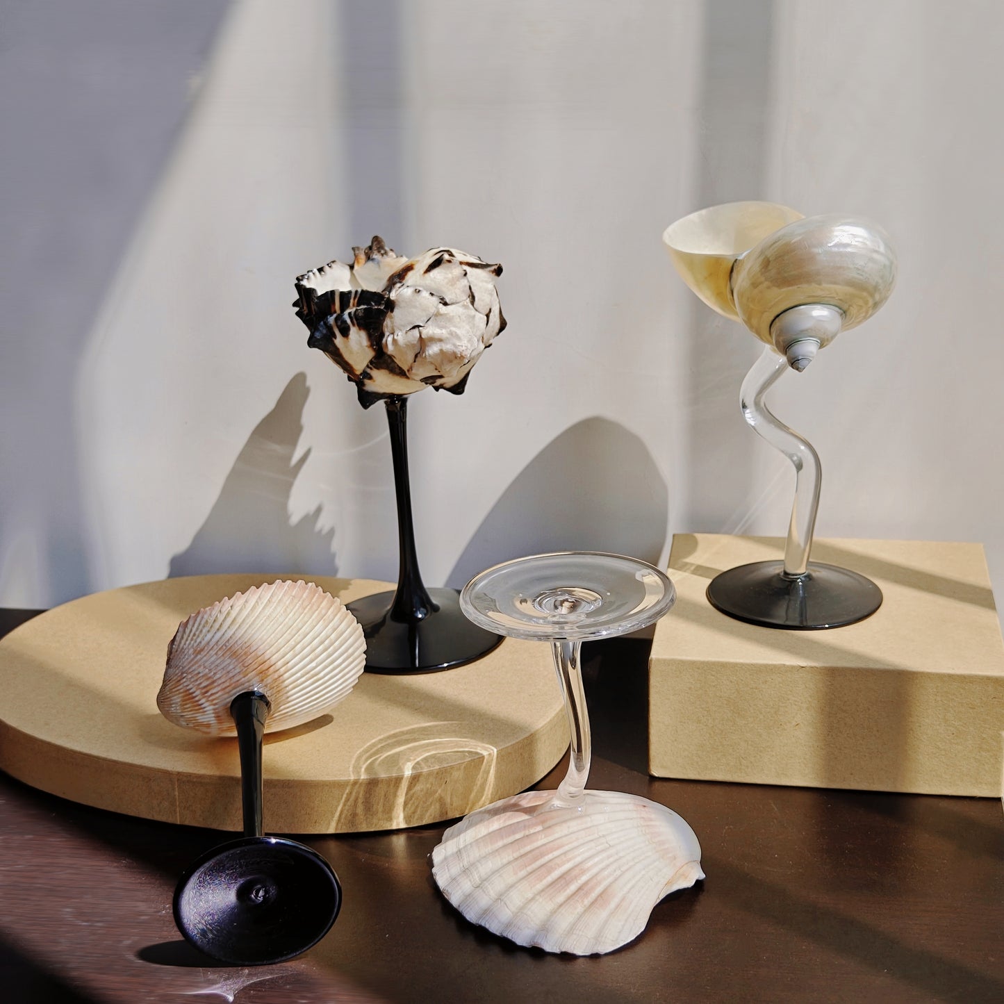 4 shellglass【A whole set】