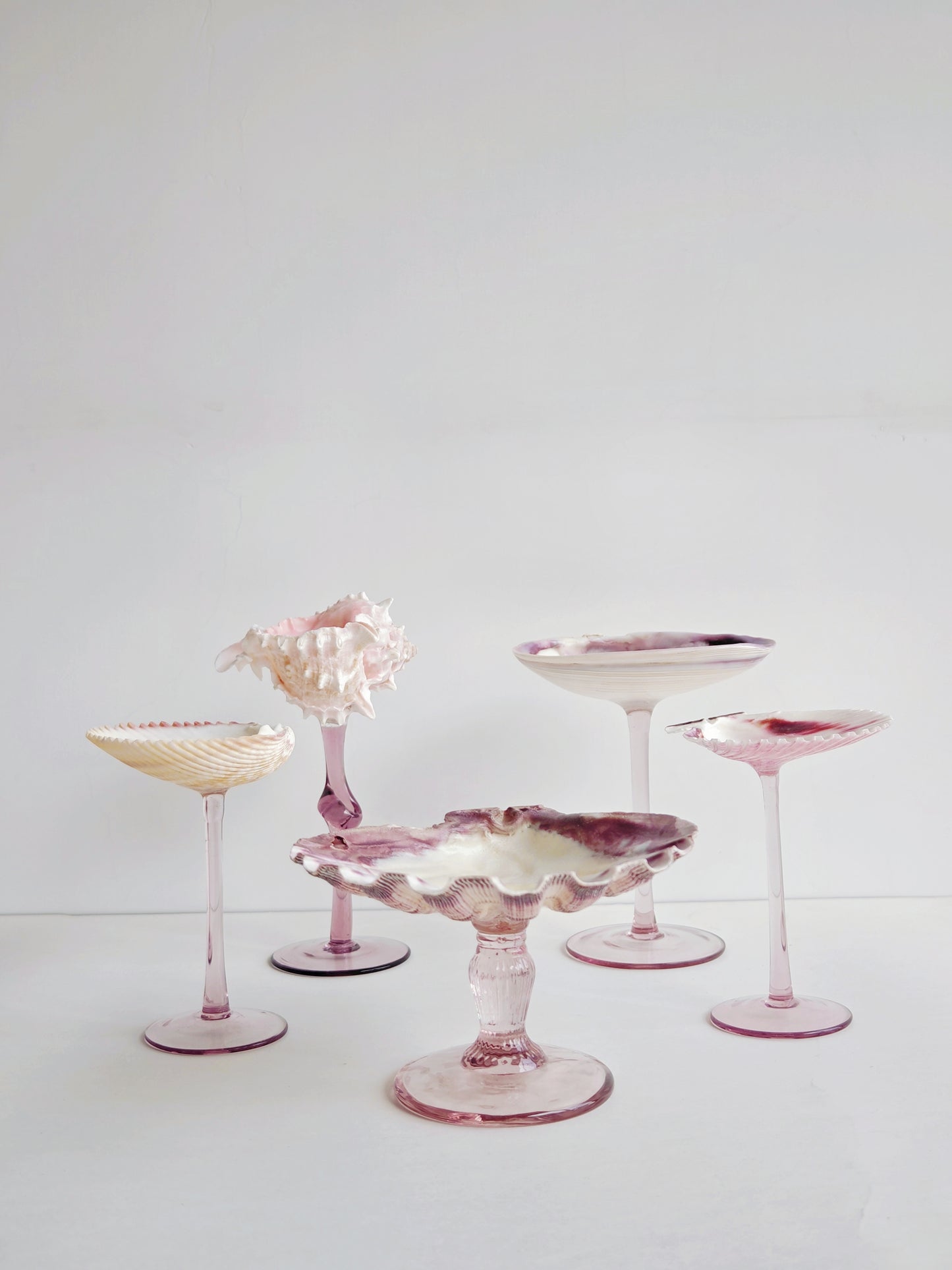 5shellglass【A whole set】