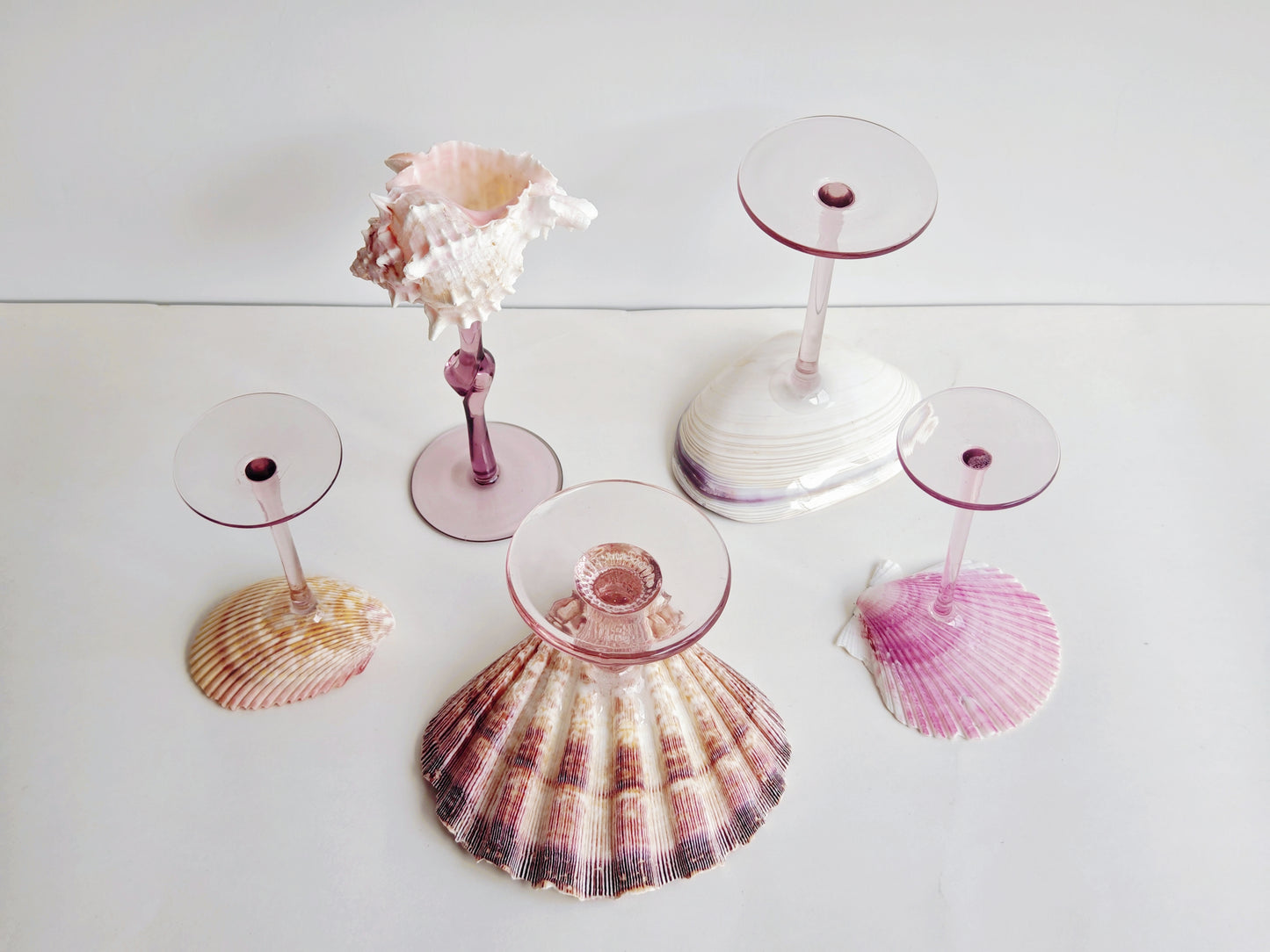 5shellglass【A whole set】