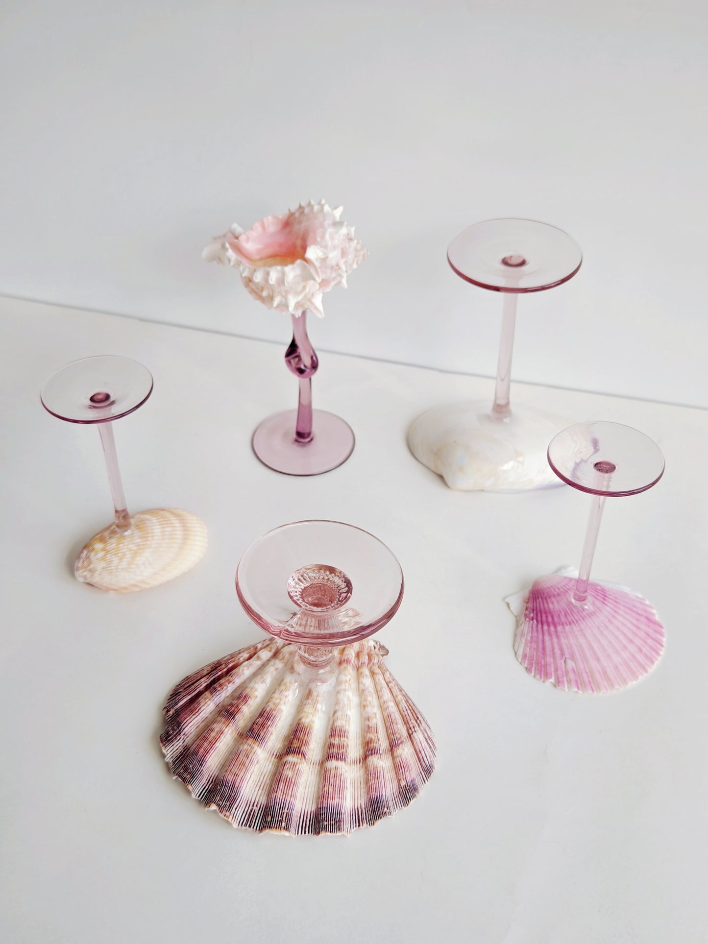 5shellglass【A whole set】