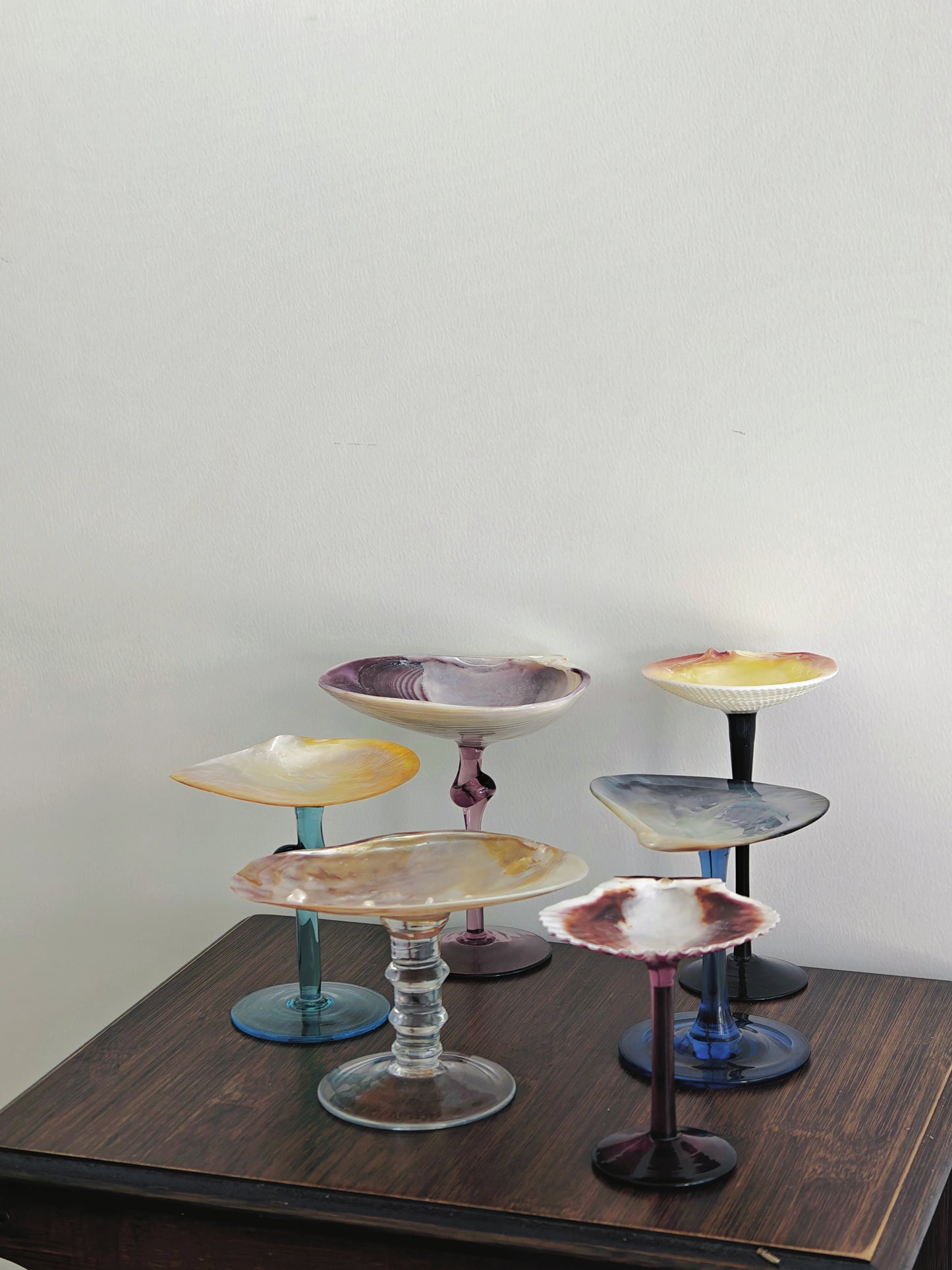 6 shellglass【A whole set】