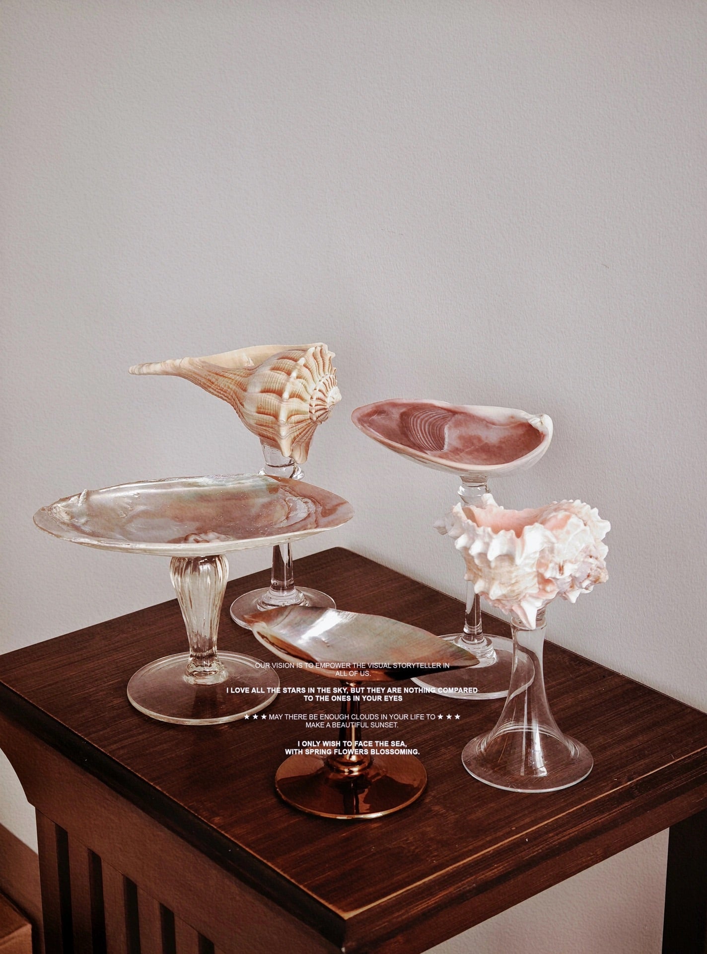 5 shellglass【A whole set】