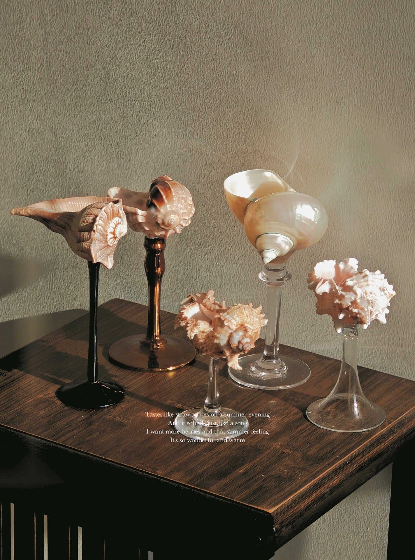 5shellglass【A whole set】