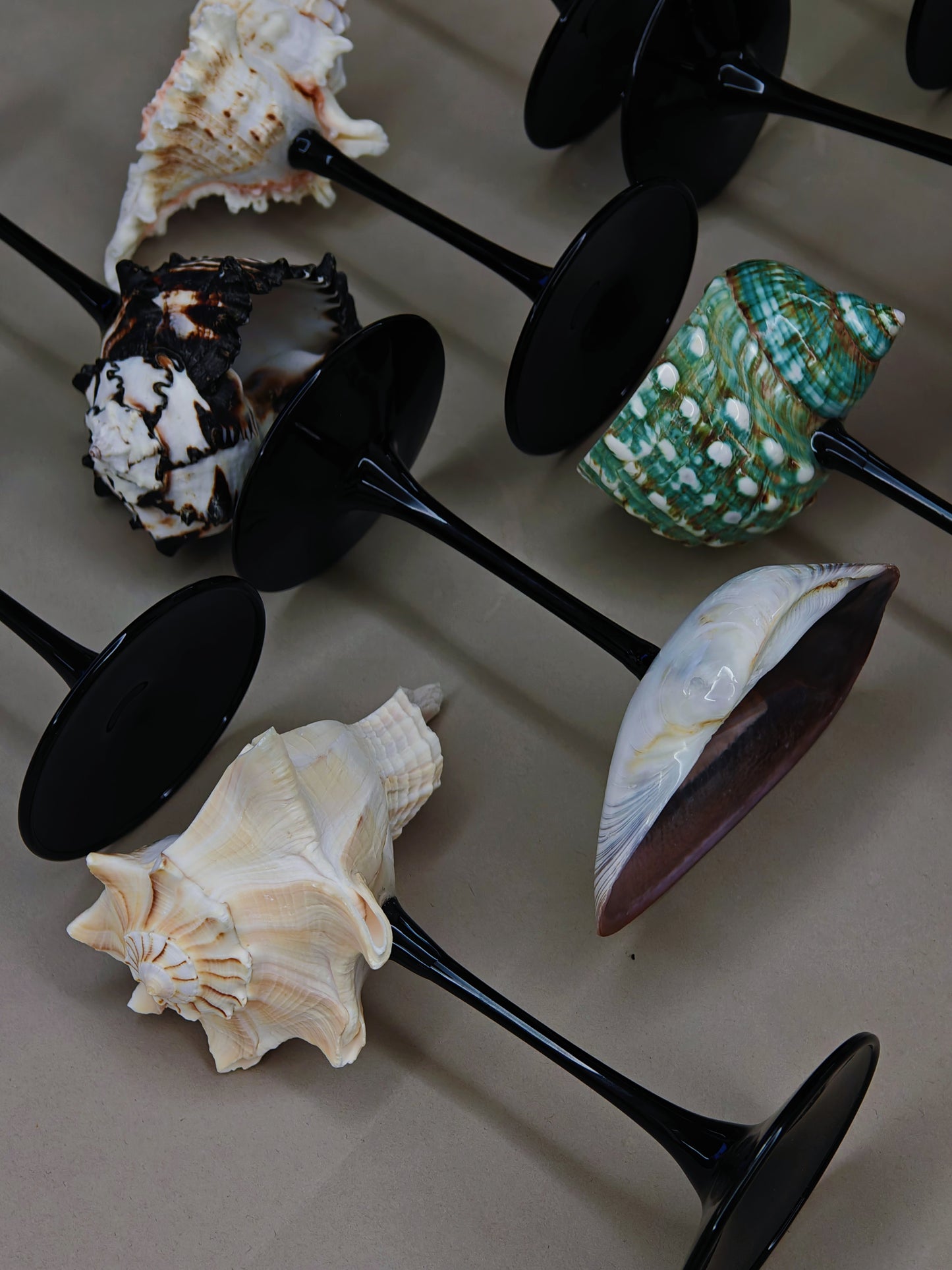 12 shellglass【A whole set】