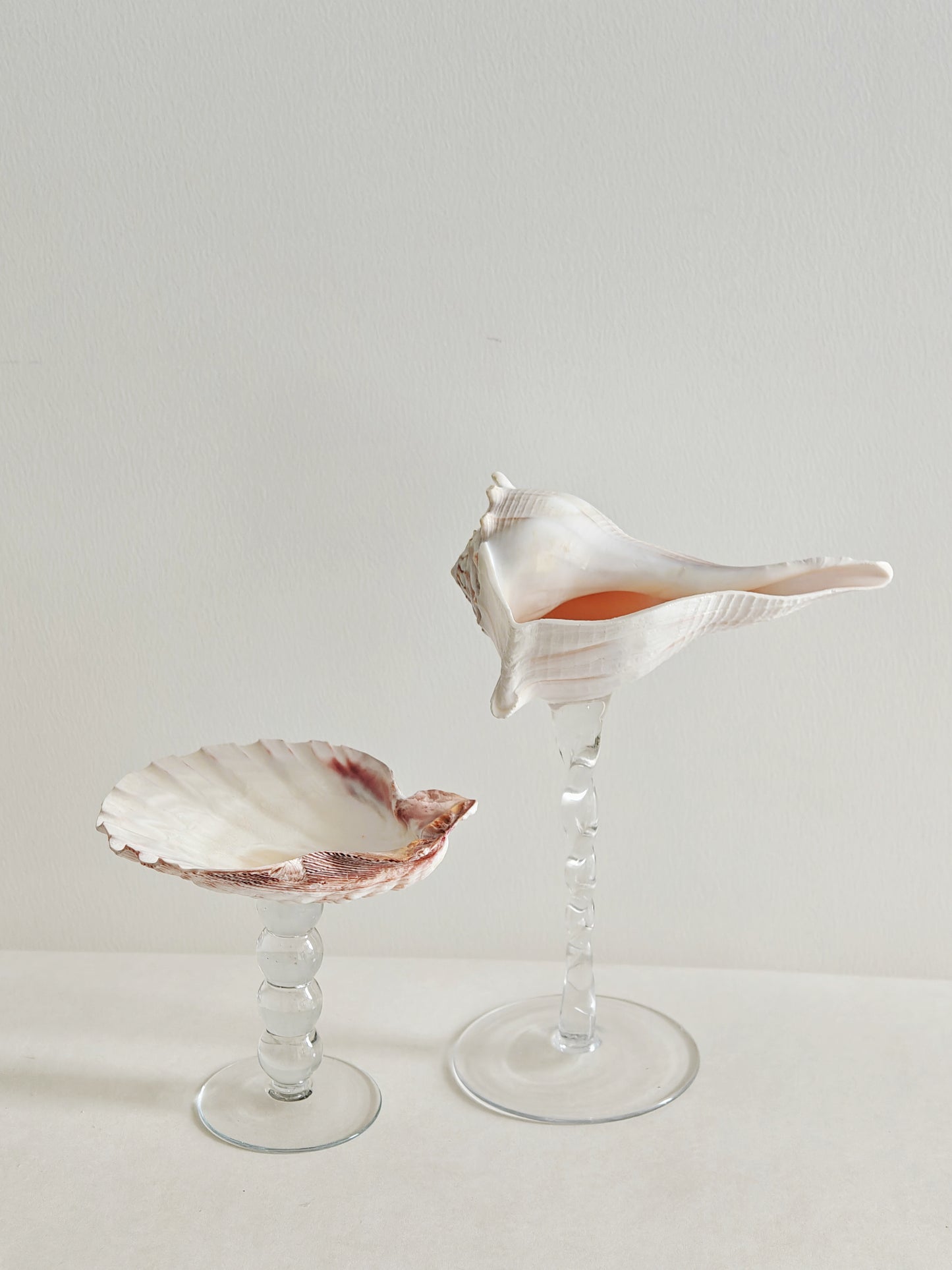 2shellglass【A whole set】
