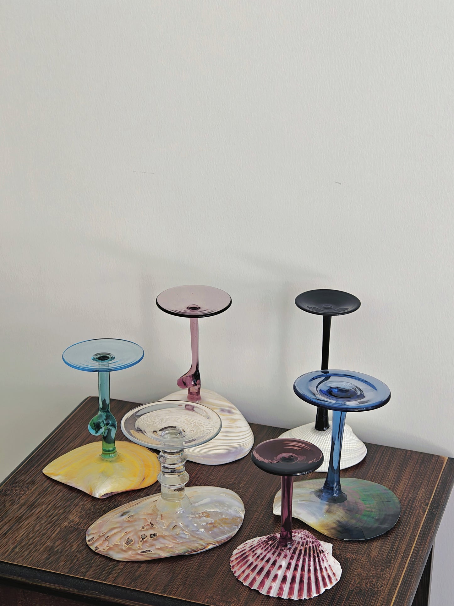 6 shellglass【A whole set】