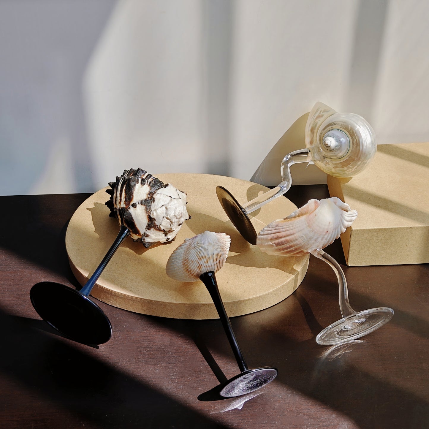 4 shellglass【A whole set】
