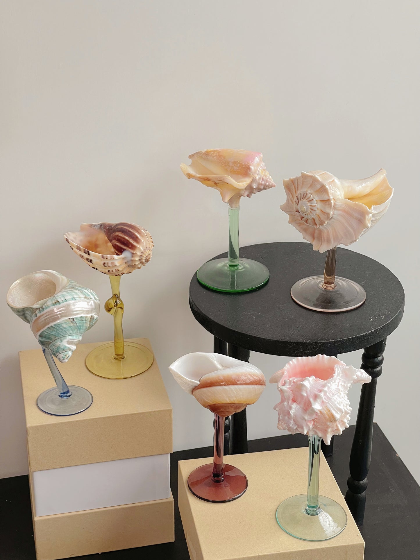 6shellglass【A whole set】
