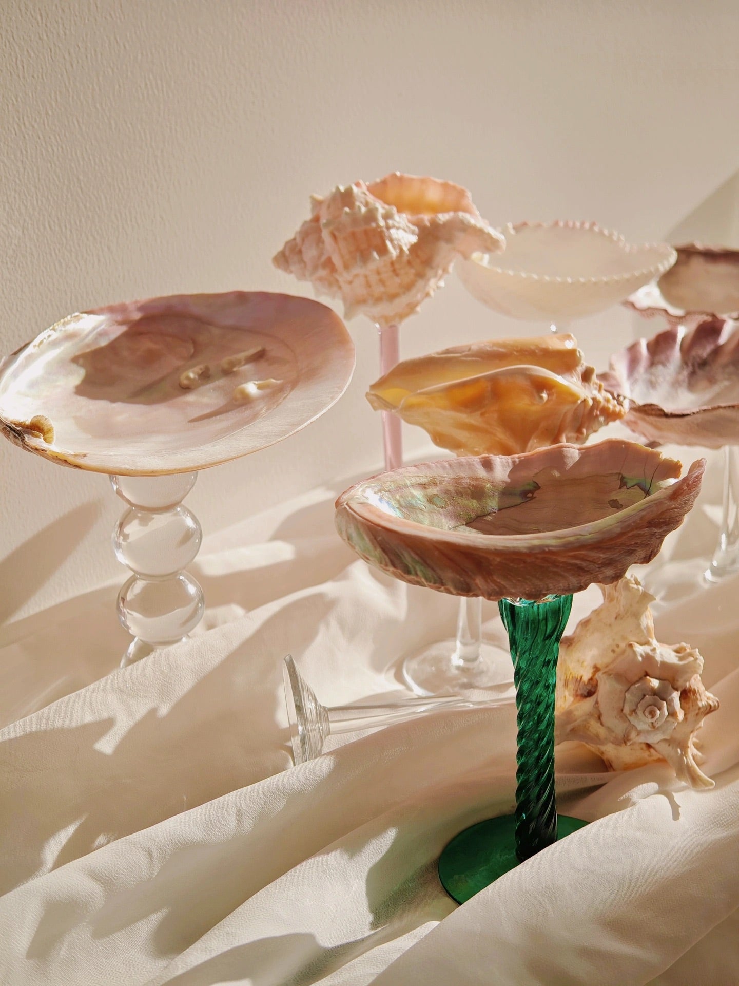 9 shellglass【A whole set】