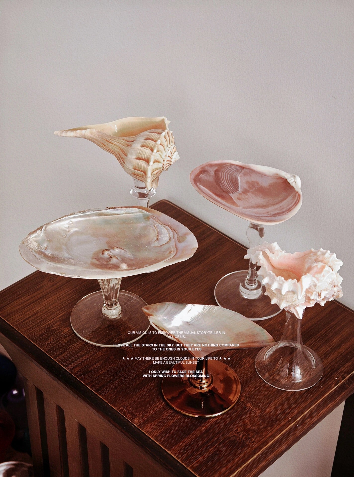 5 shellglass【A whole set】
