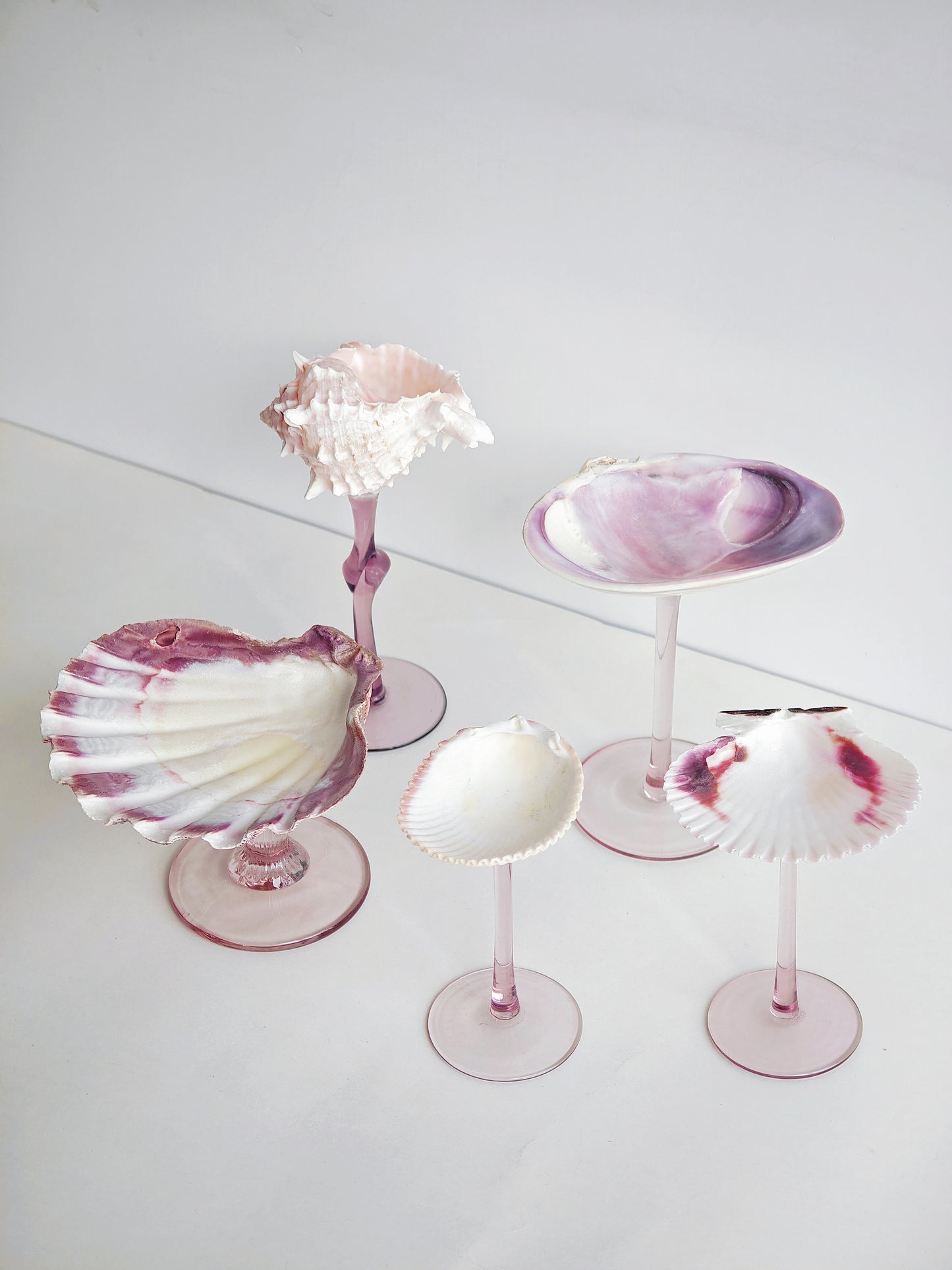 5shellglass【A whole set】