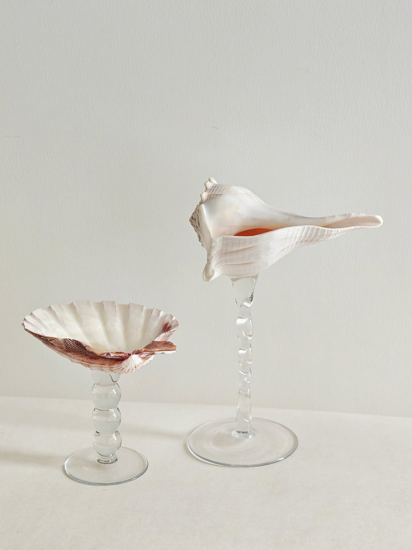 2shellglass【A whole set】