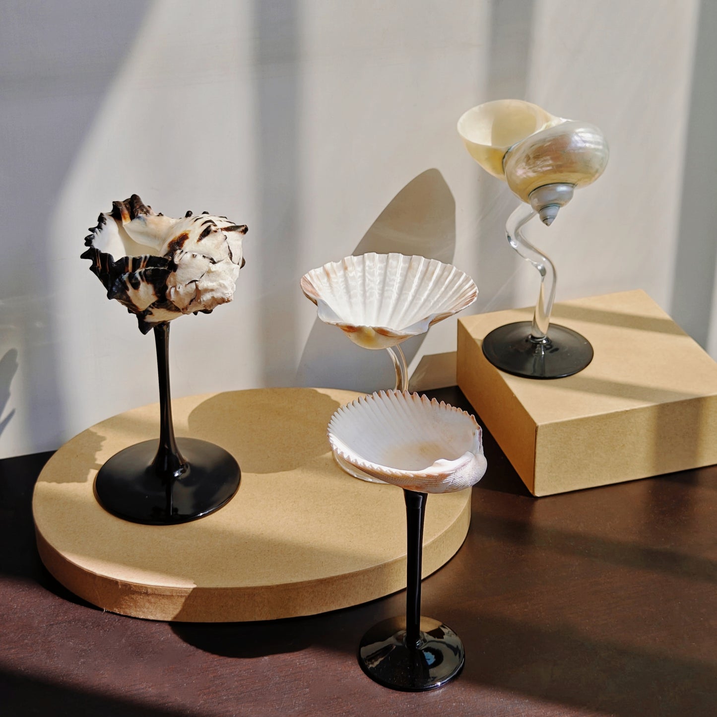 4 shellglass【A whole set】