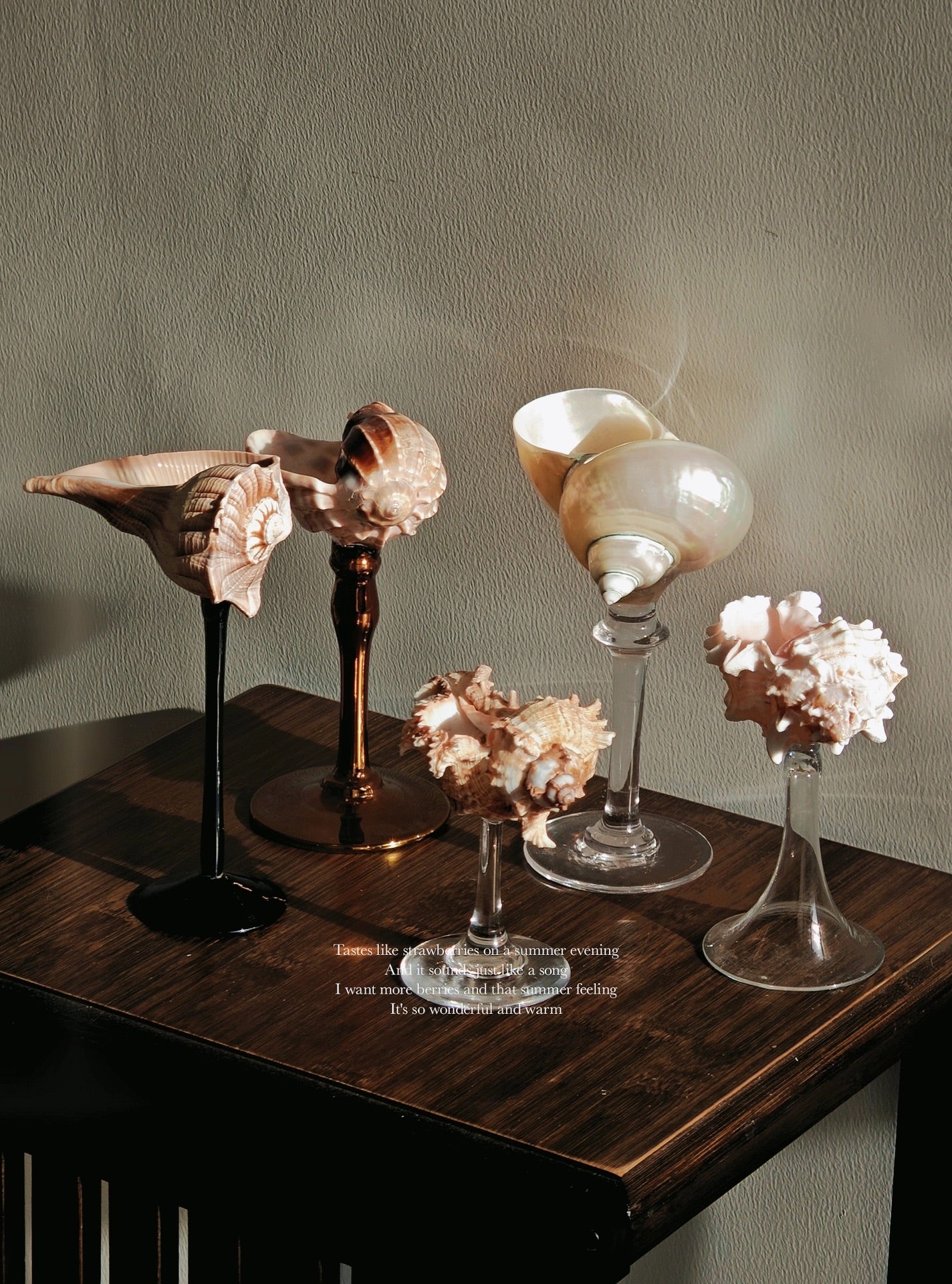 5shellglass【A whole set】