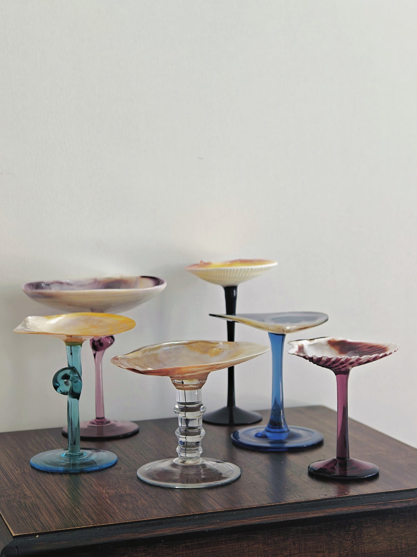 6 shellglass【A whole set】