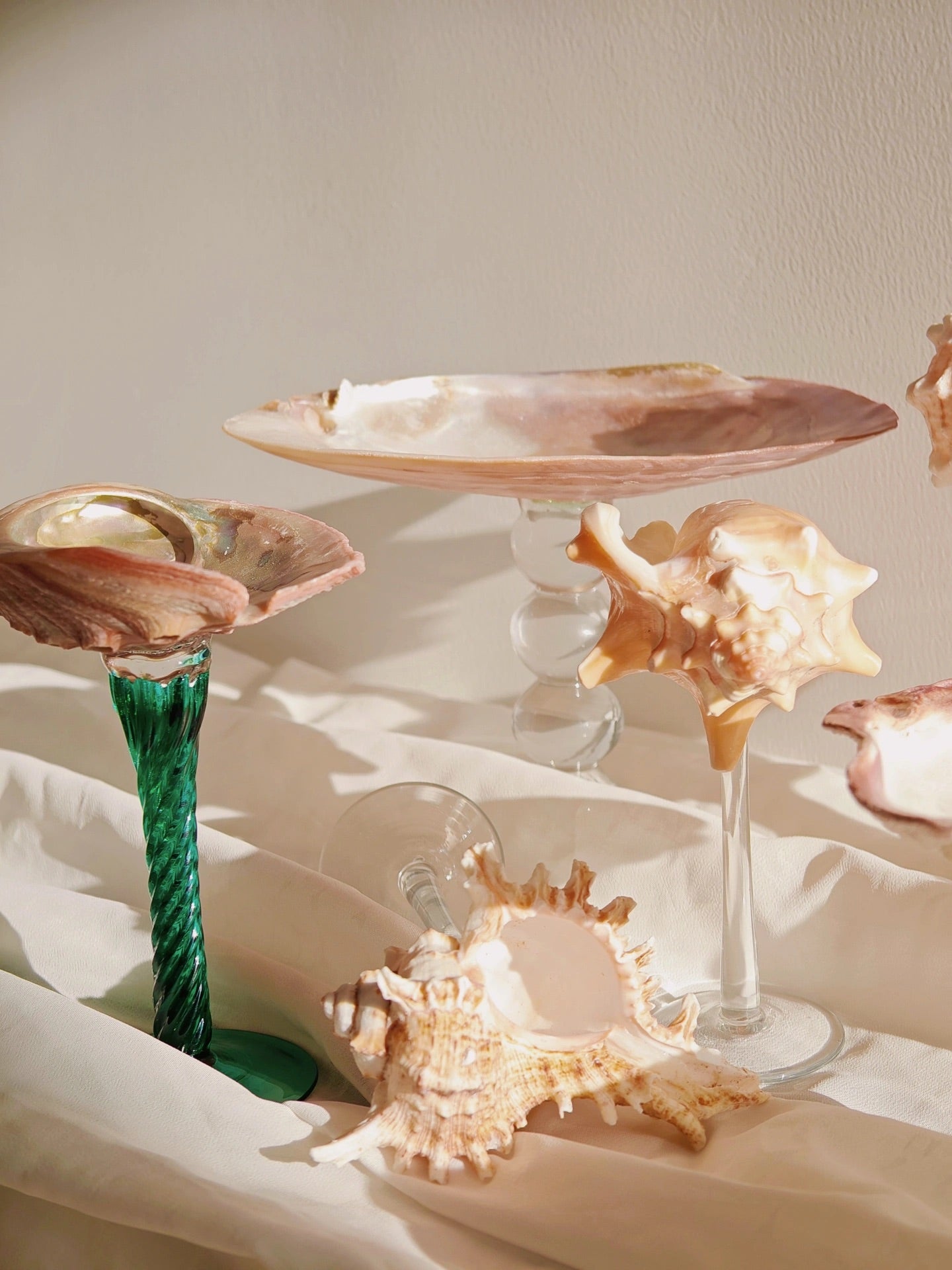 9 shellglass【A whole set】