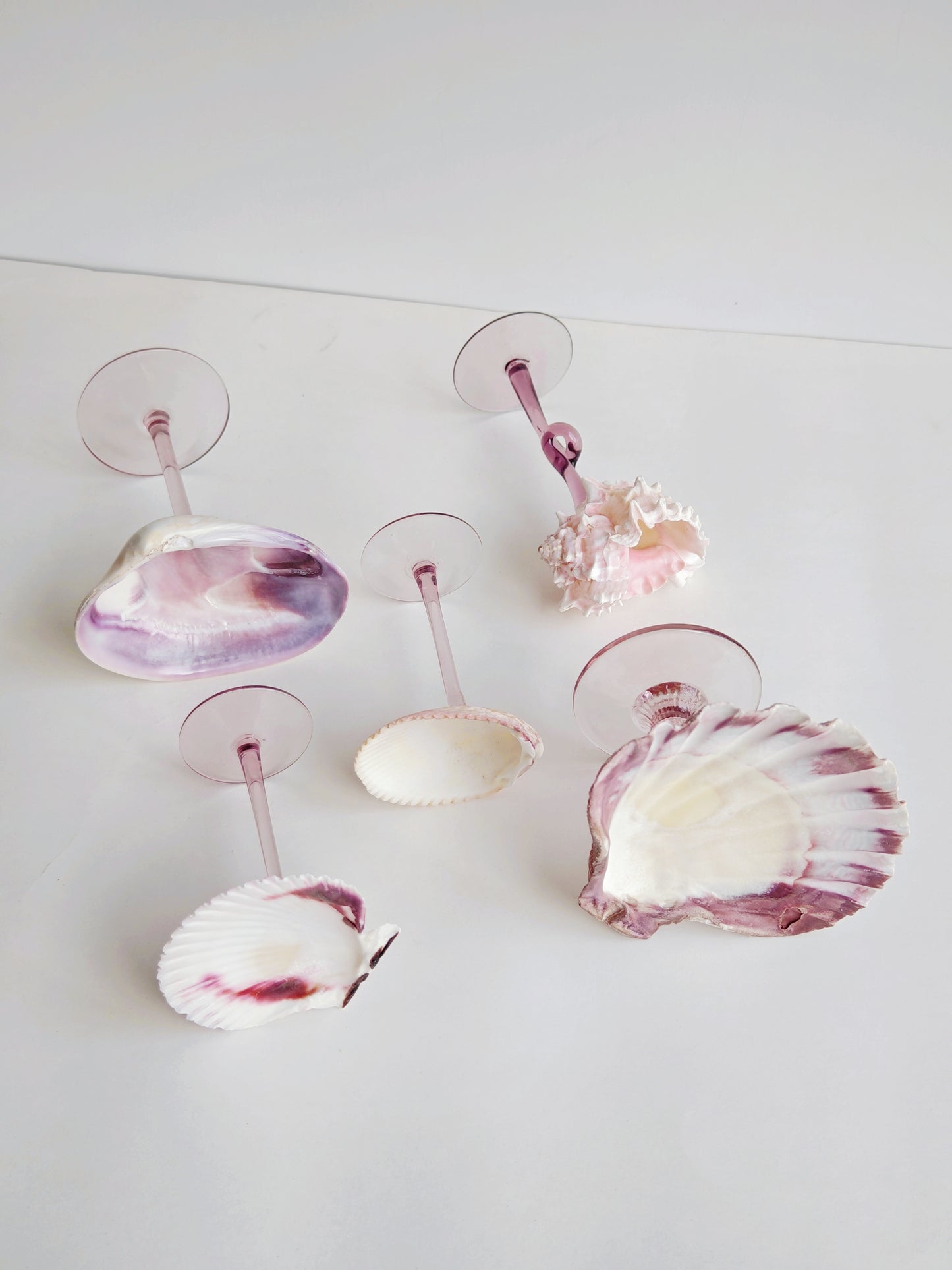 5shellglass【A whole set】