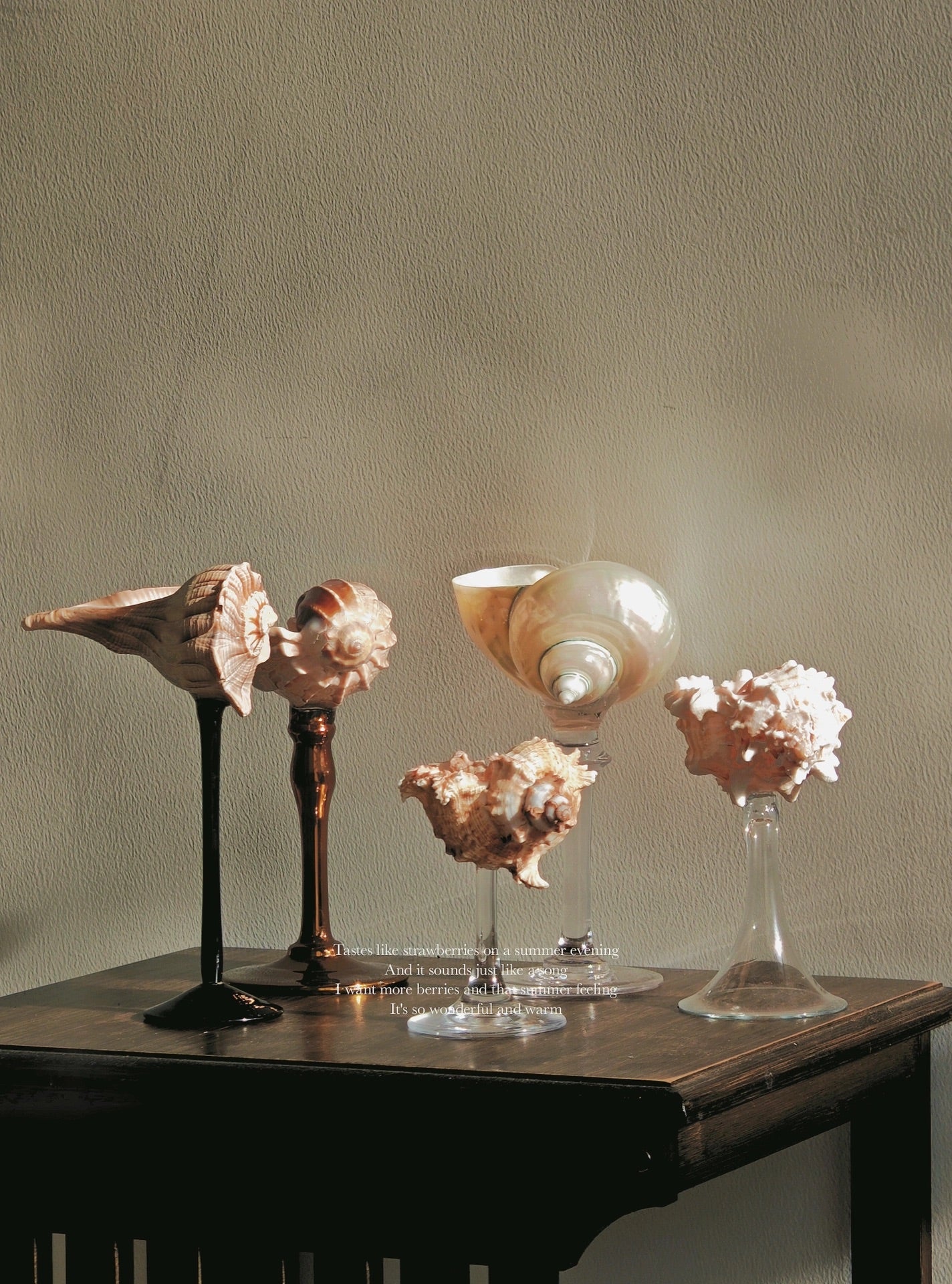 5shellglass【A whole set】