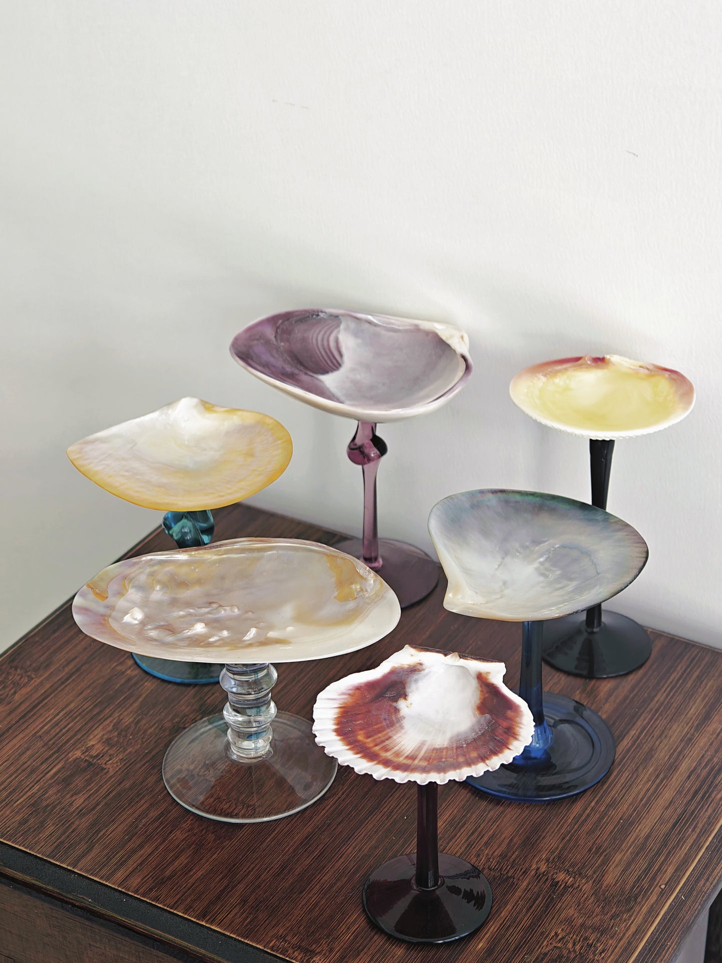 6 shellglass【A whole set】