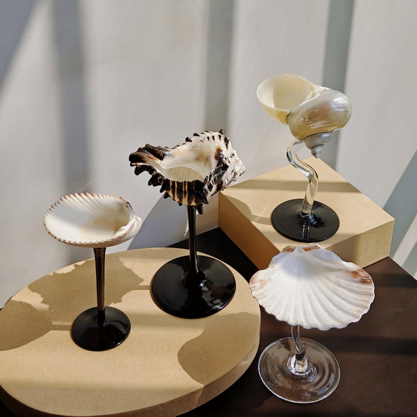 4 shellglass【A whole set】