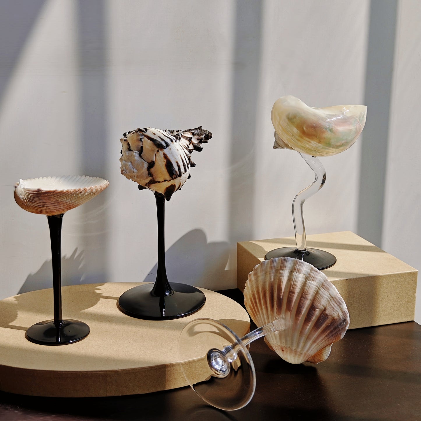 4 shellglass【A whole set】