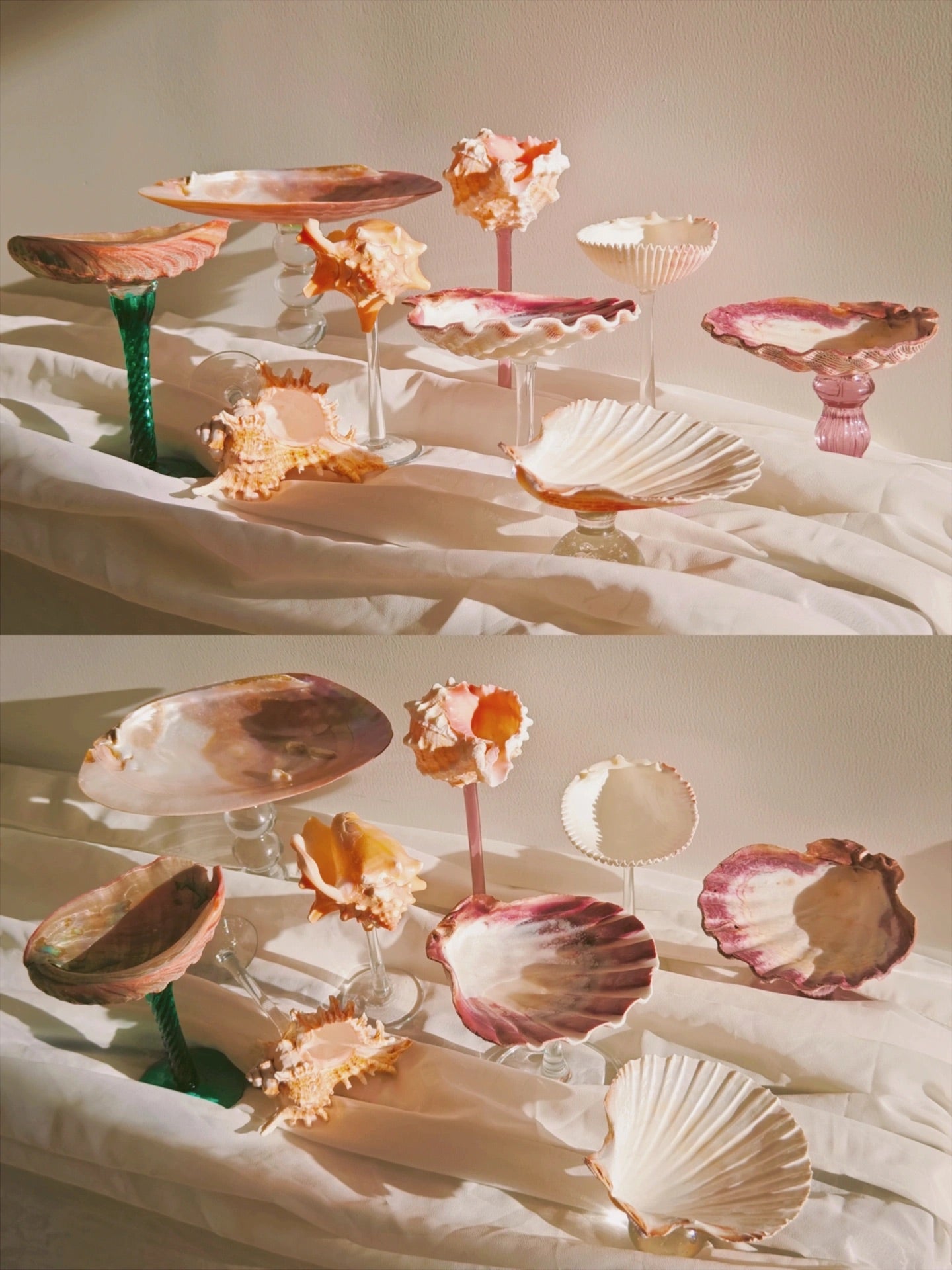 9 shellglass【A whole set】