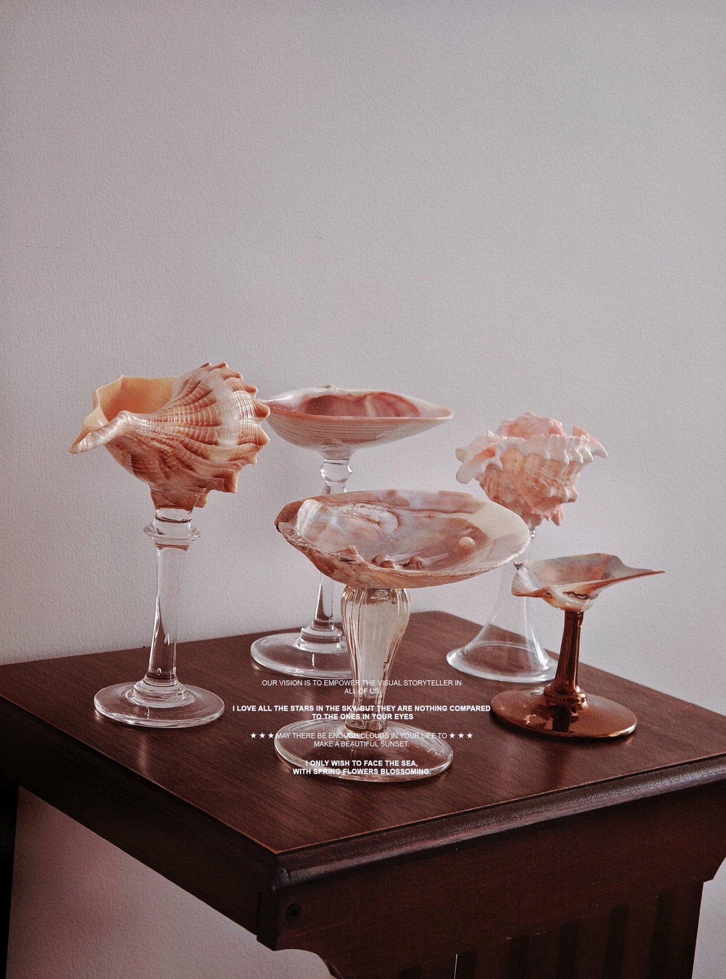 5 shellglass【A whole set】