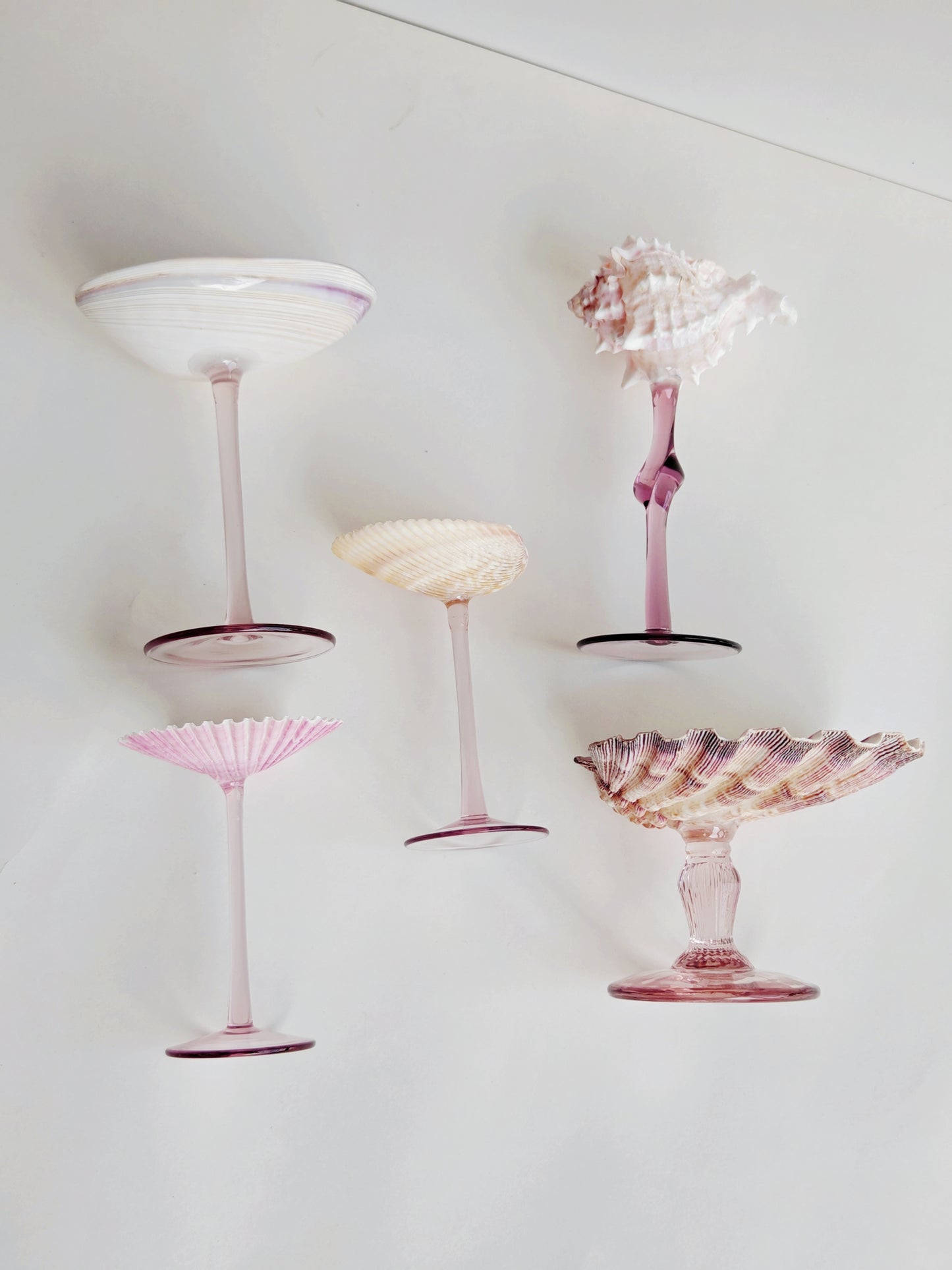 5shellglass【A whole set】
