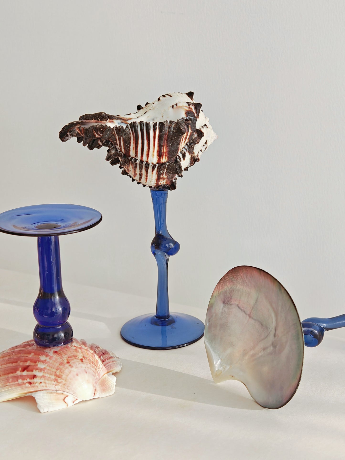 5 shellglass【A whole set】