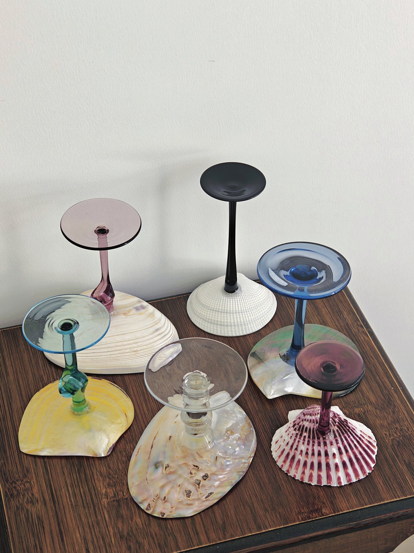 6 shellglass【A whole set】