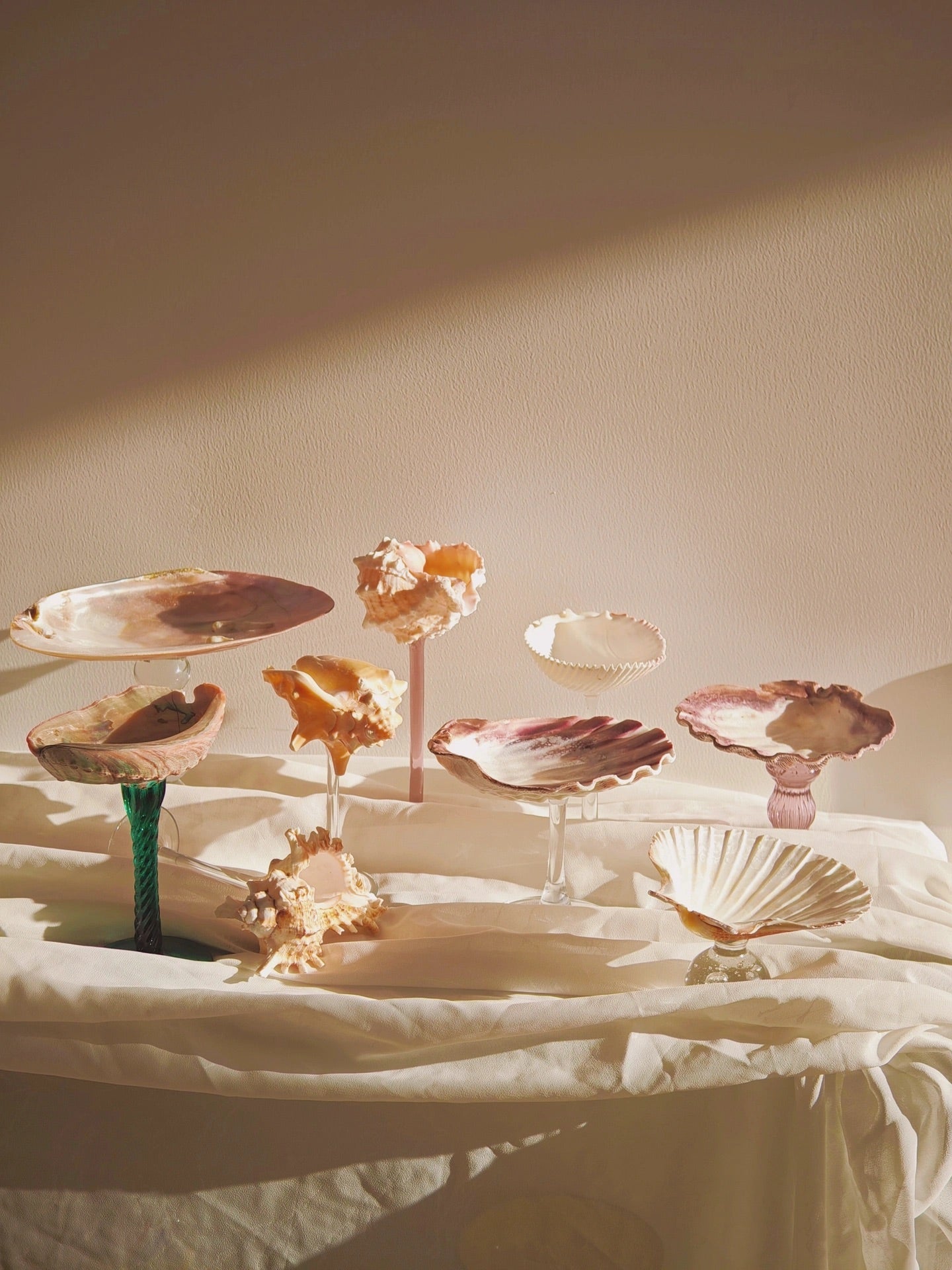 9 shellglass【A whole set】