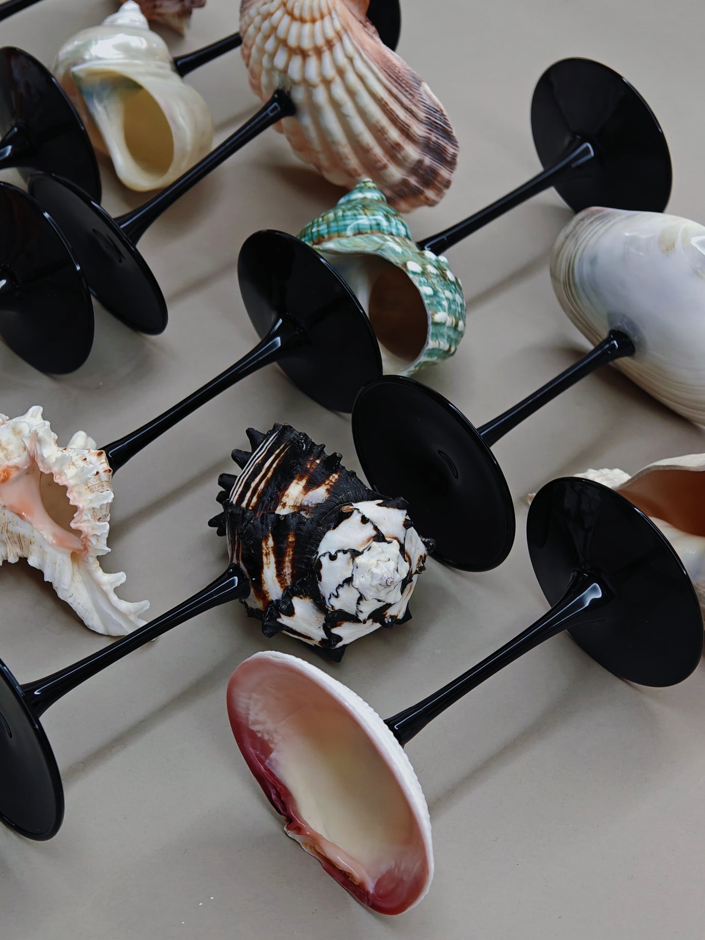 12 shellglass【A whole set】