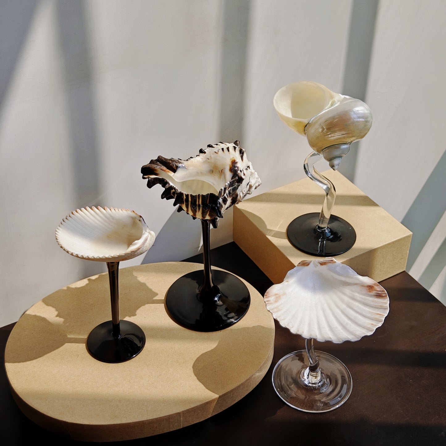 4 shellglass【A whole set】