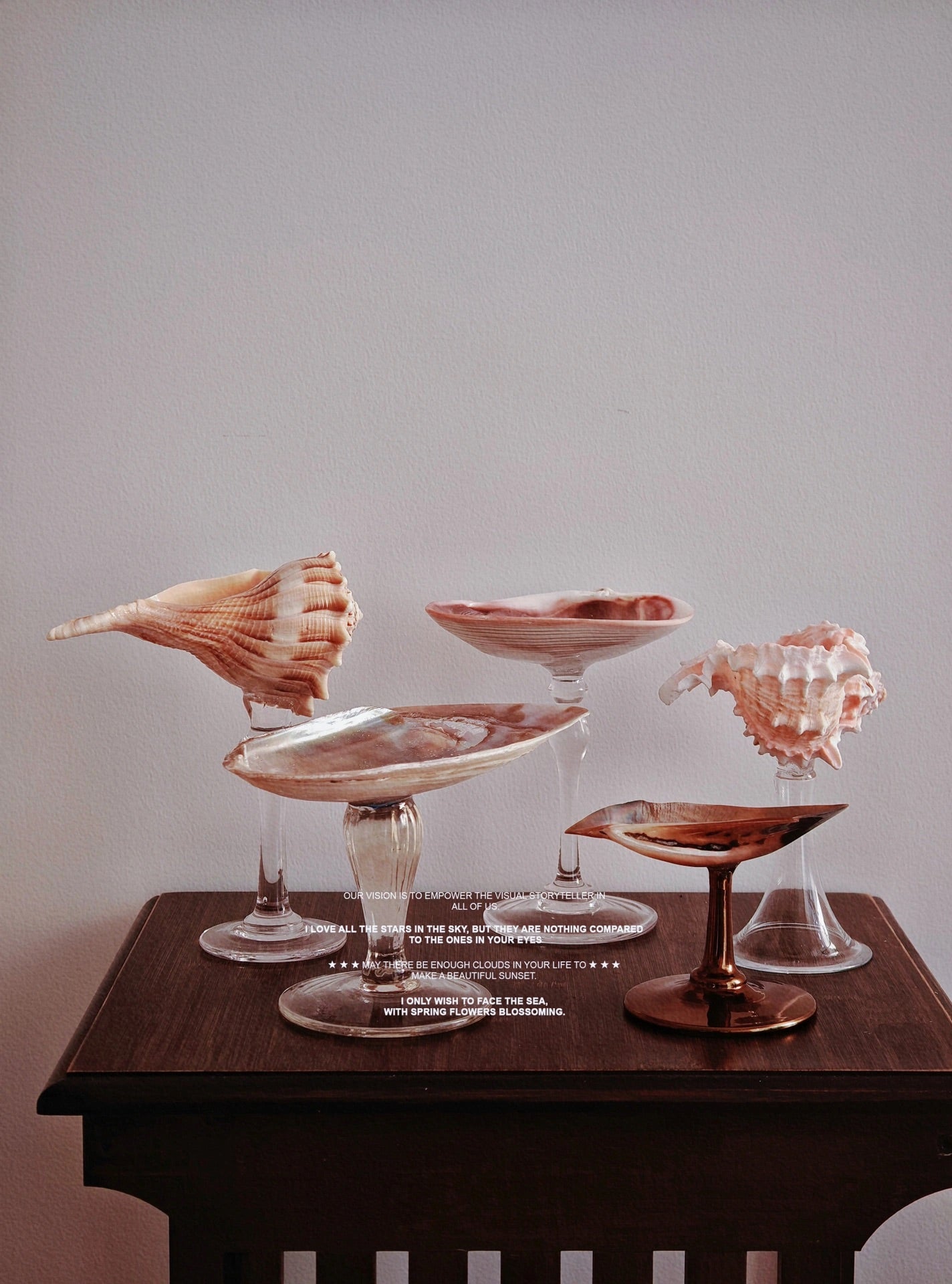 5 shellglass【A whole set】