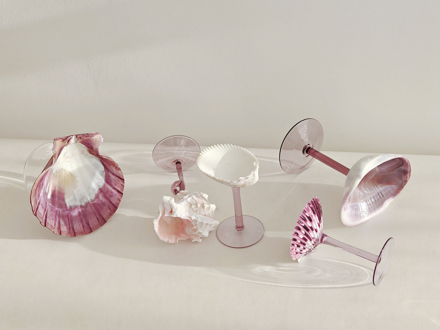 5 shellglass【A whole set】