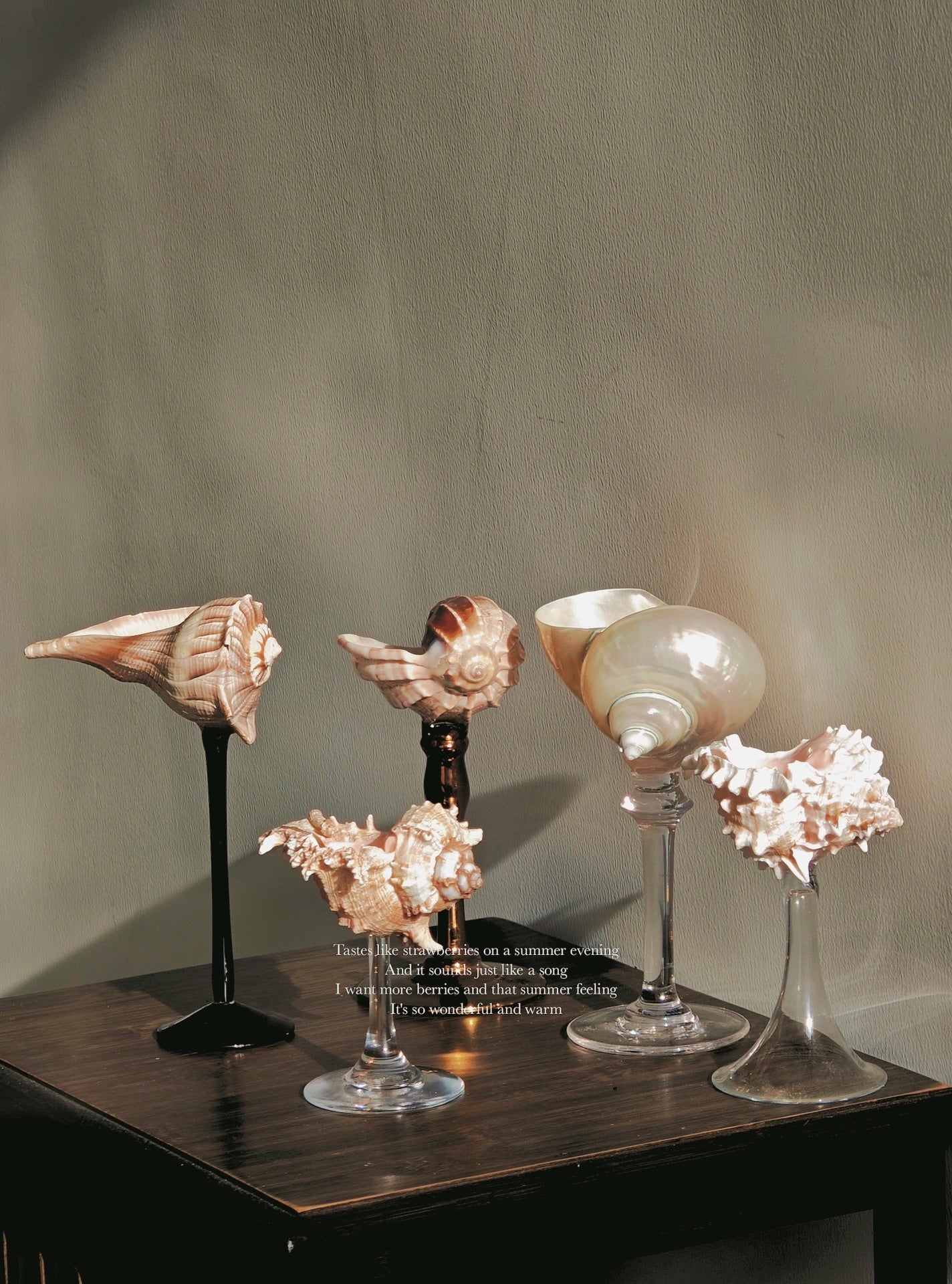 5shellglass【A whole set】