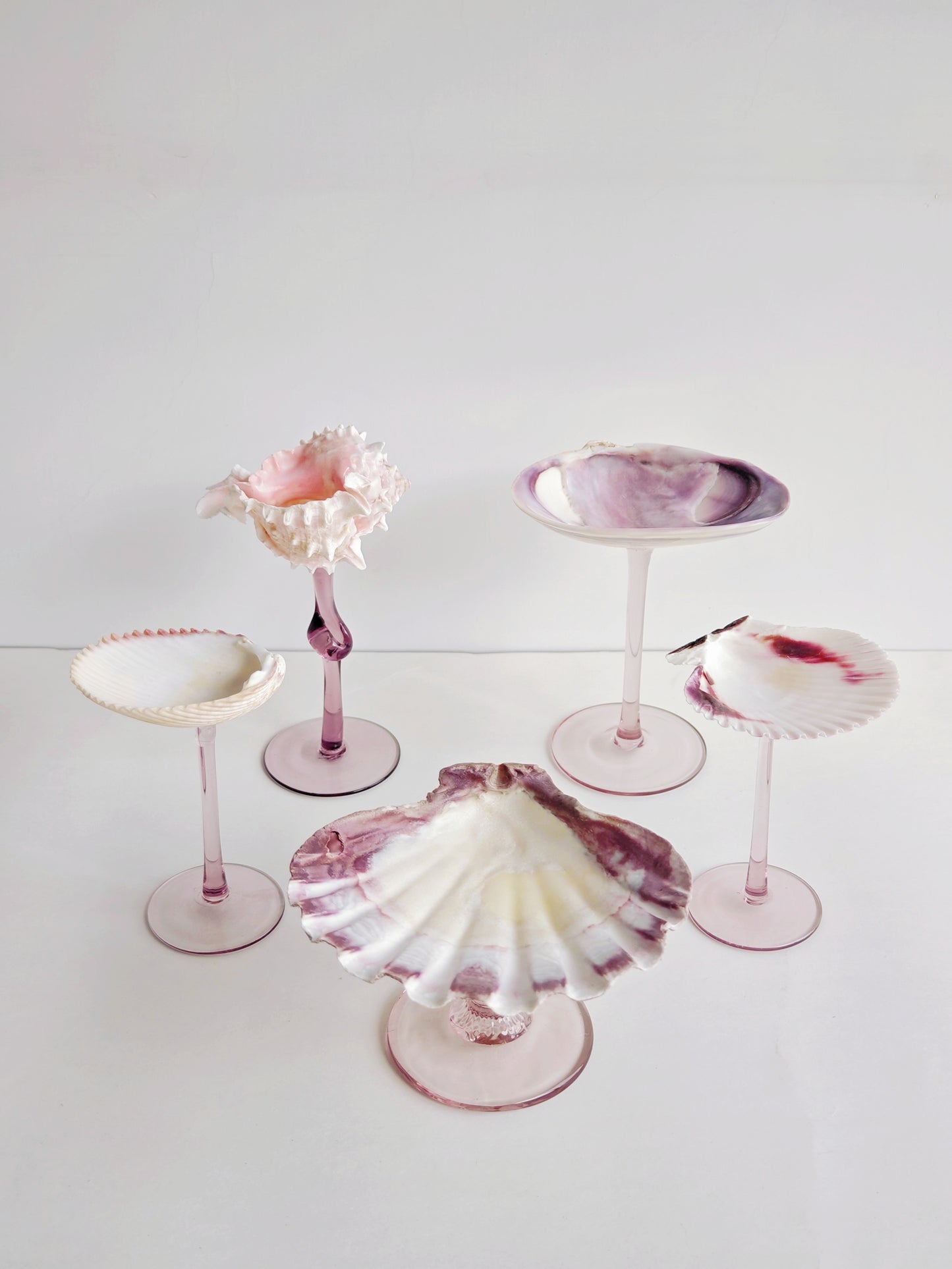 5shellglass【A whole set】