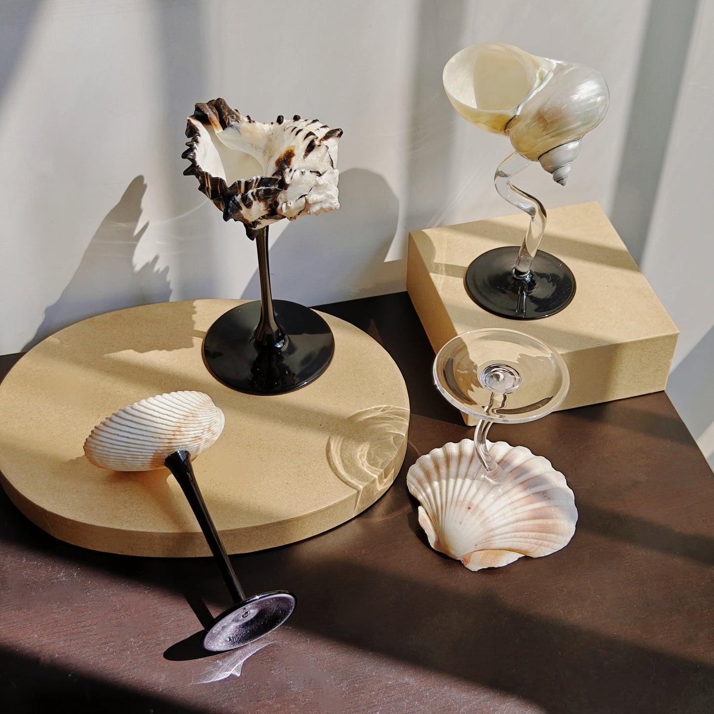 4 shellglass【A whole set】