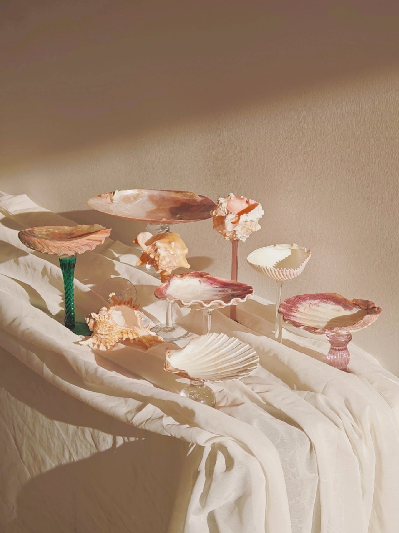 9 shellglass【A whole set】