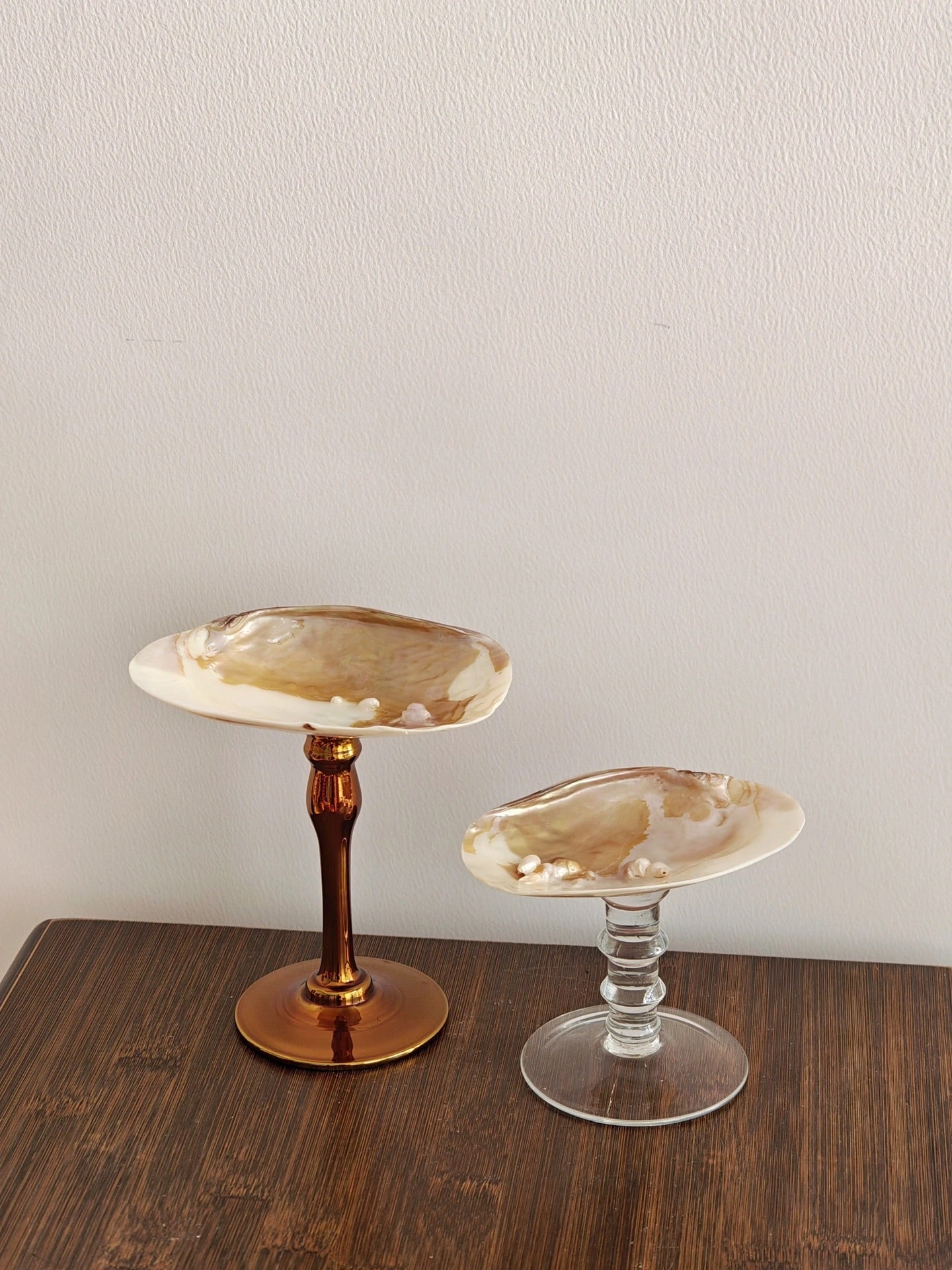 2shellglass【A whole set】