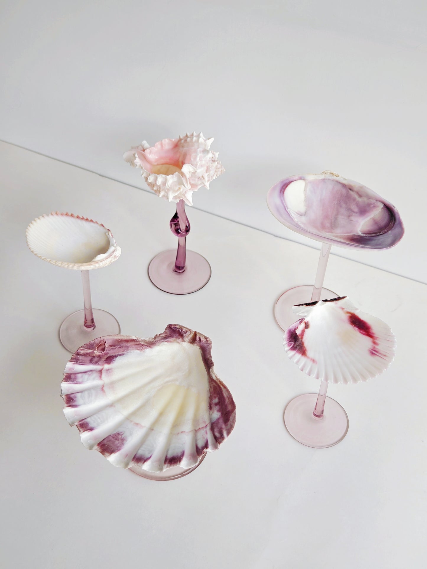 5shellglass【A whole set】